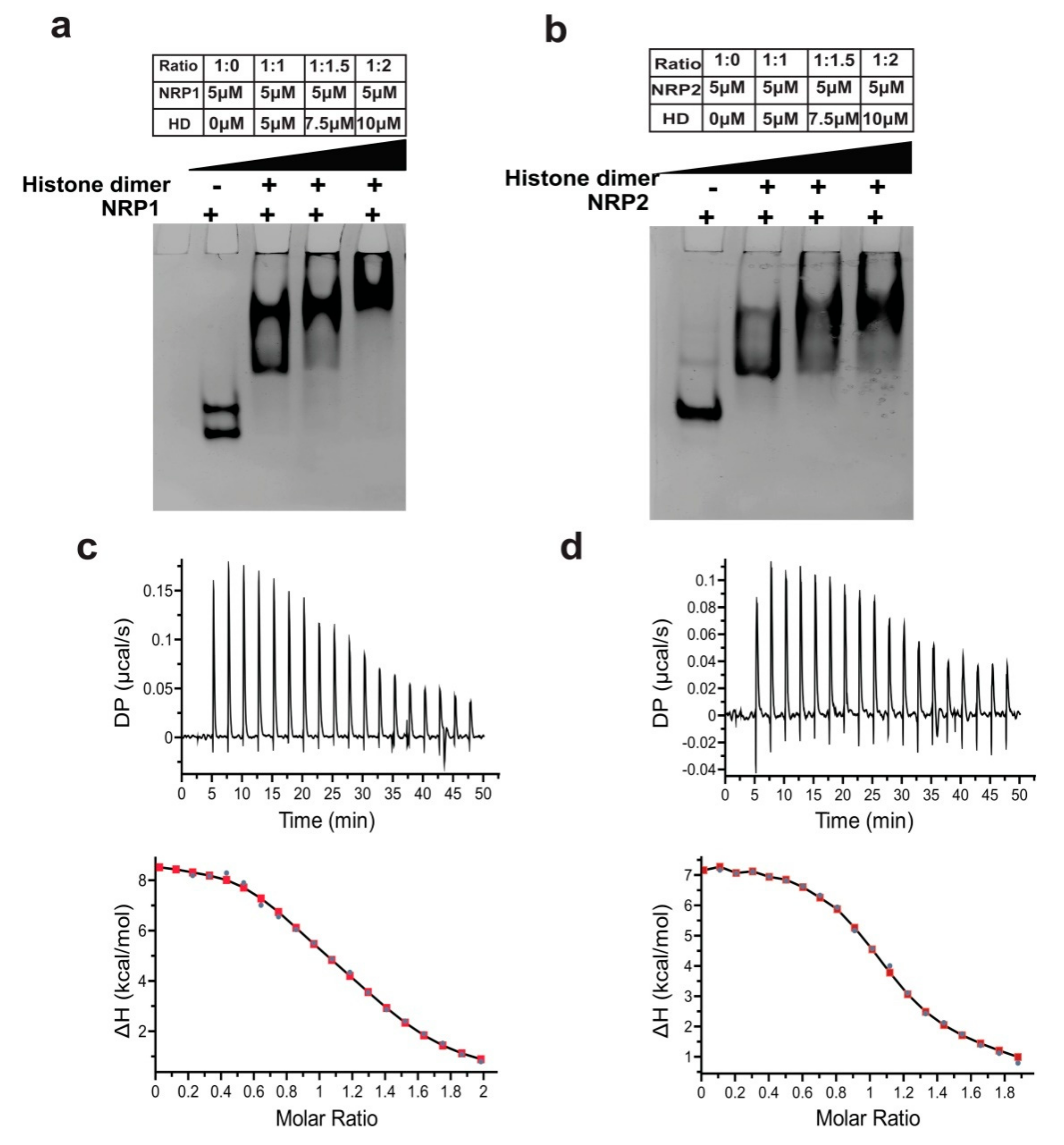 Molecules 24 02258 g009 Molecules 24 02258 g009