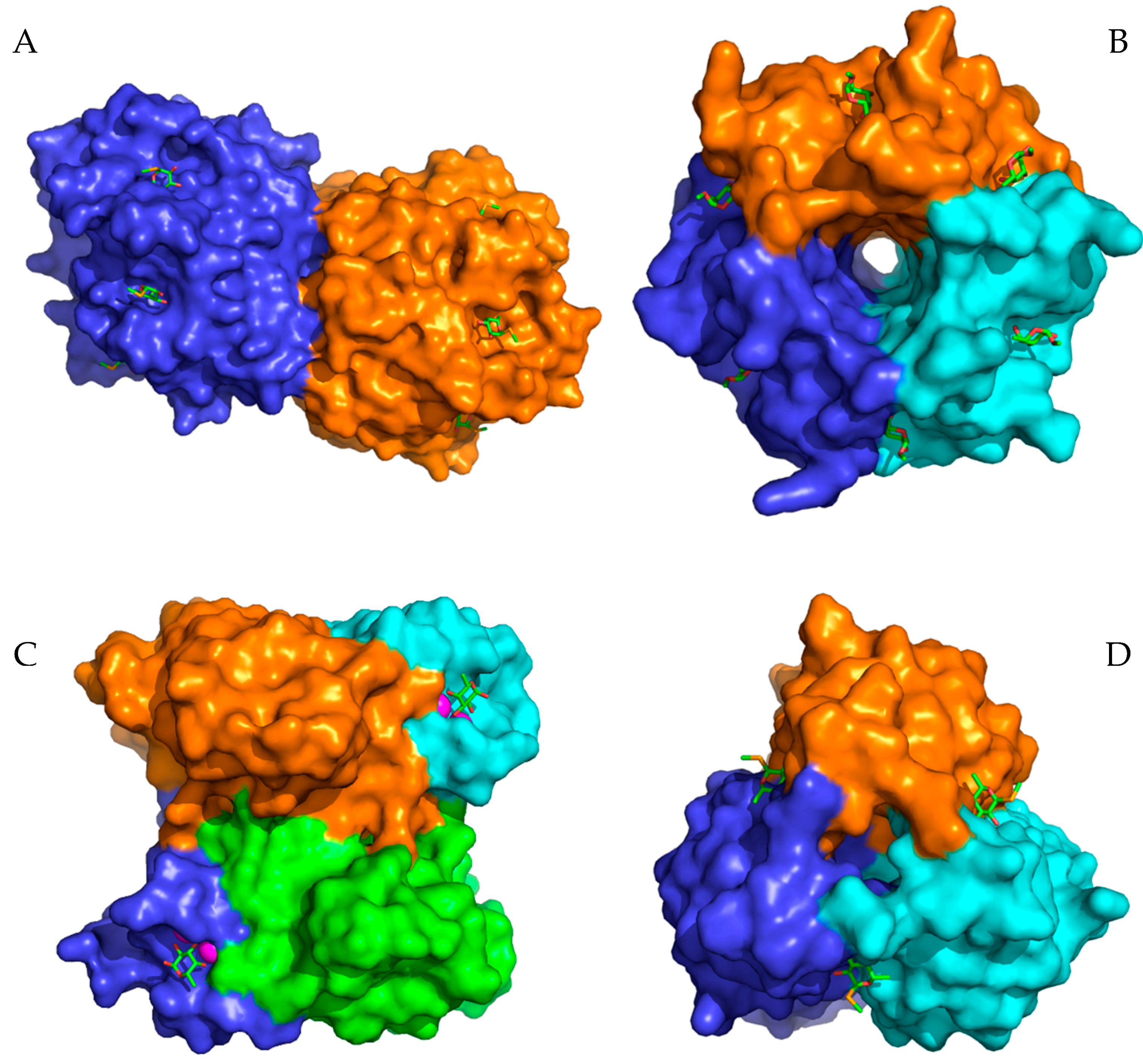 Molecules 24 02262 g001 Molecules 24 02262 g001