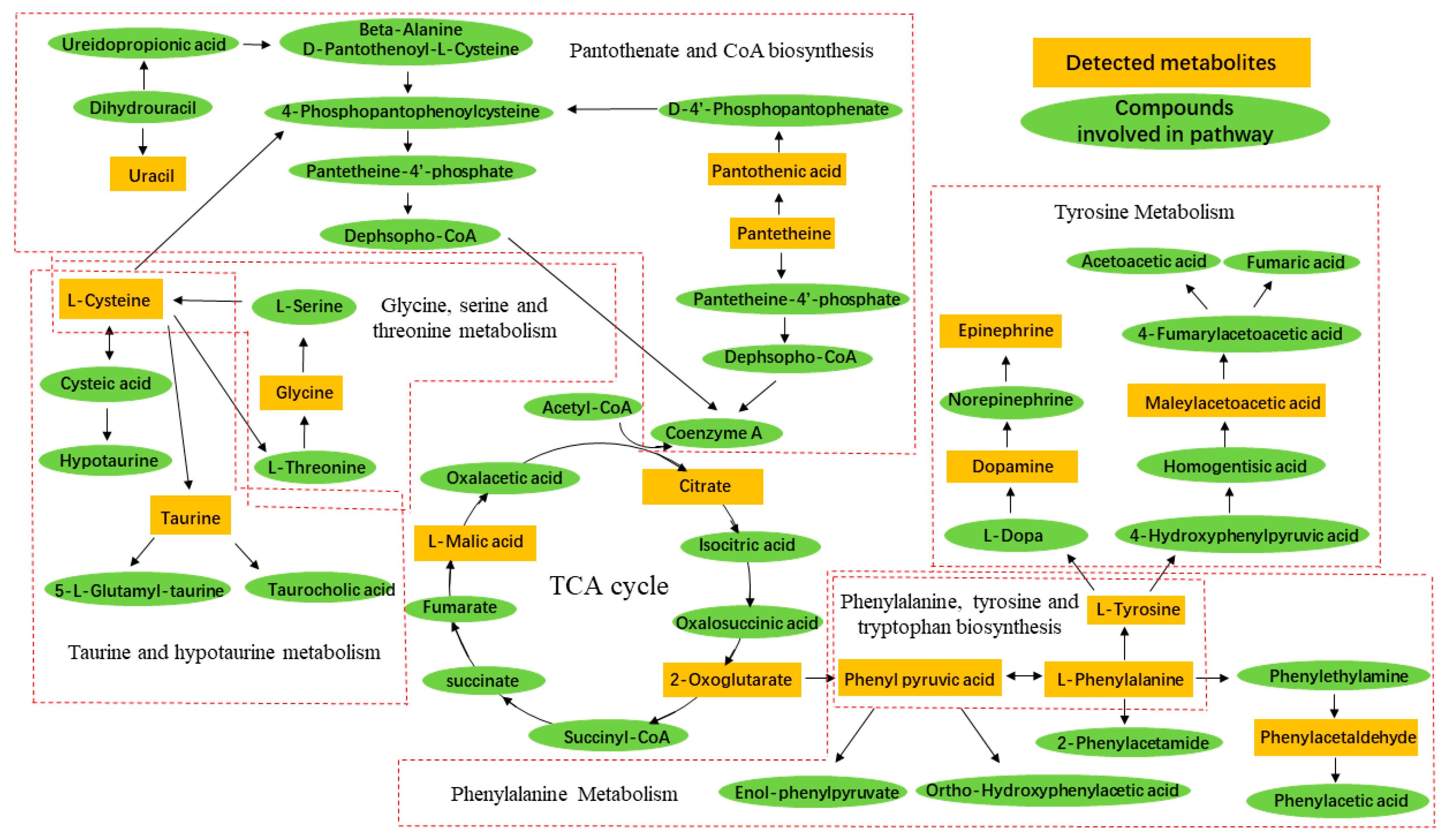 Molecules 24 02266 g009 Molecules 24 02266 g009