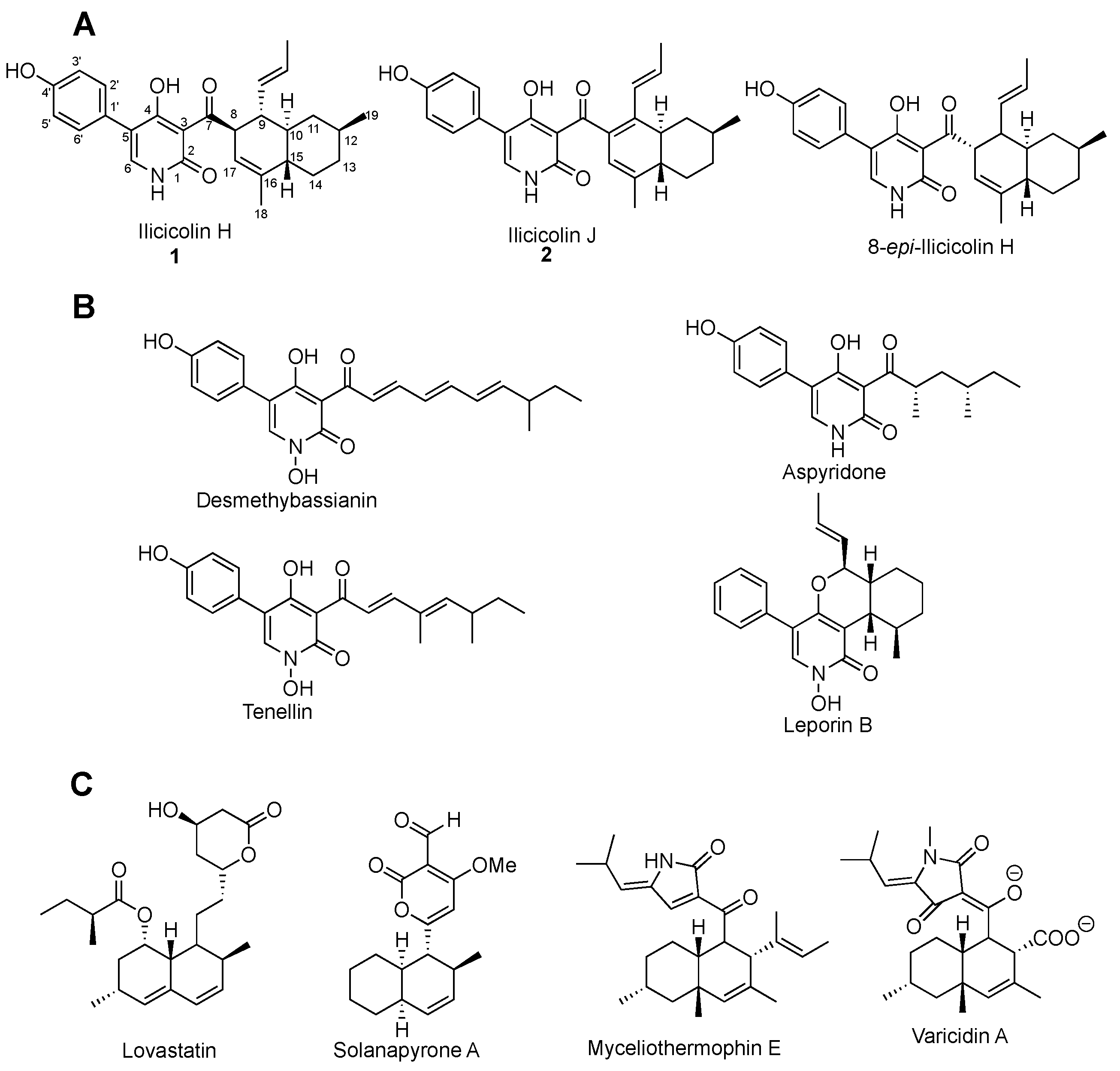 Molecules 24 02267 g001