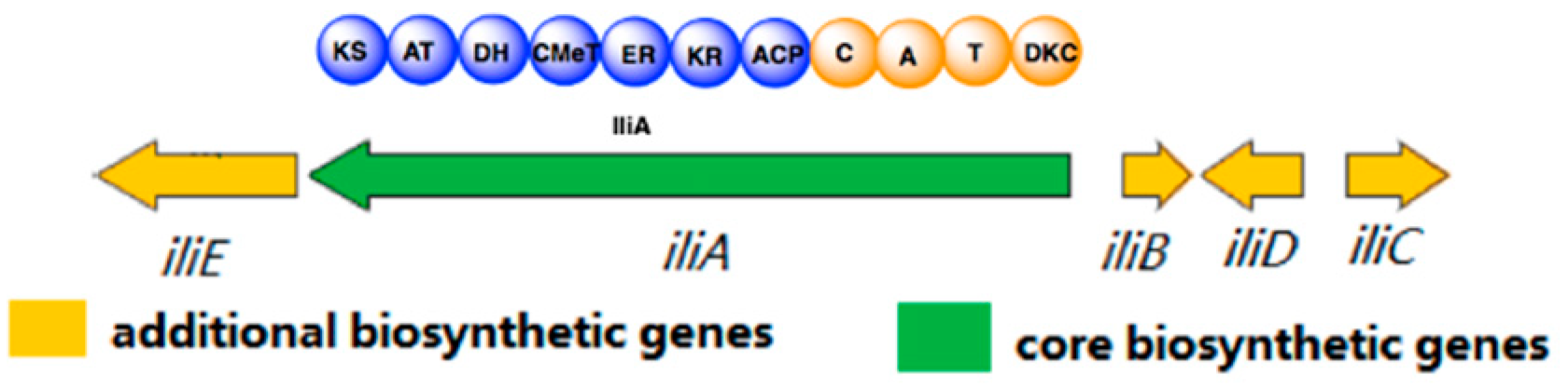 Molecules 24 02267 g002