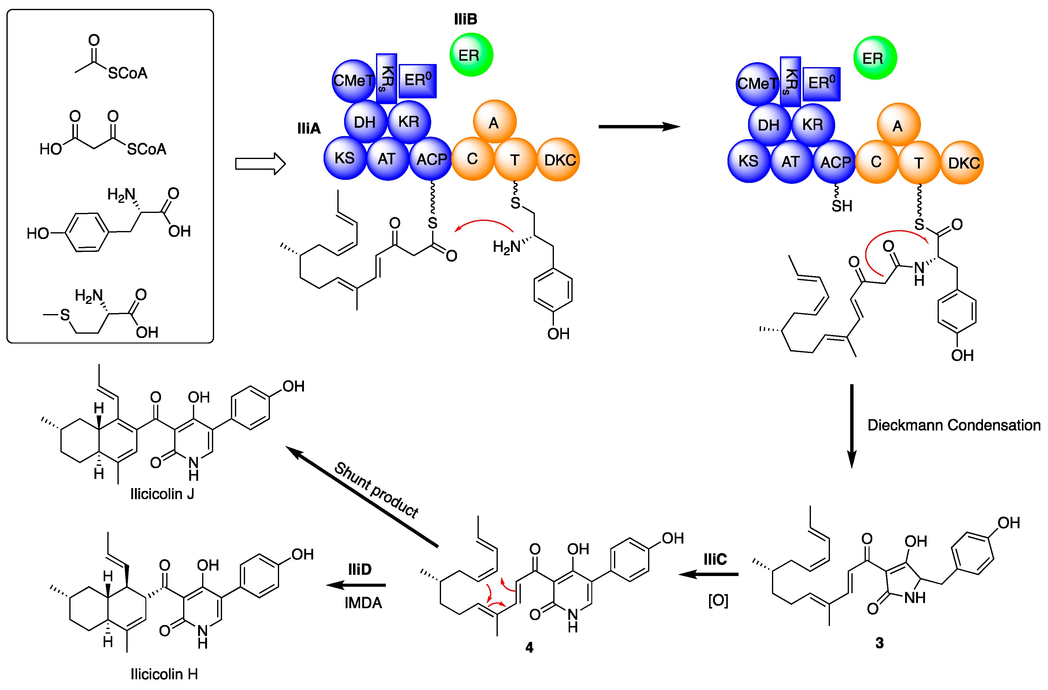 Molecules 24 02267 g004