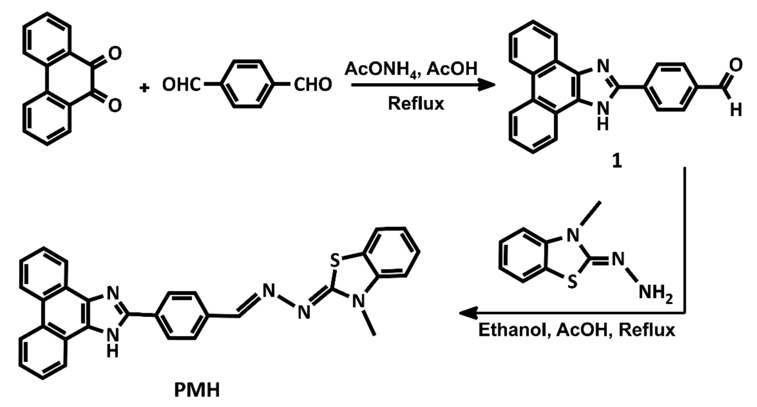 Molecules 24 02268 sch001