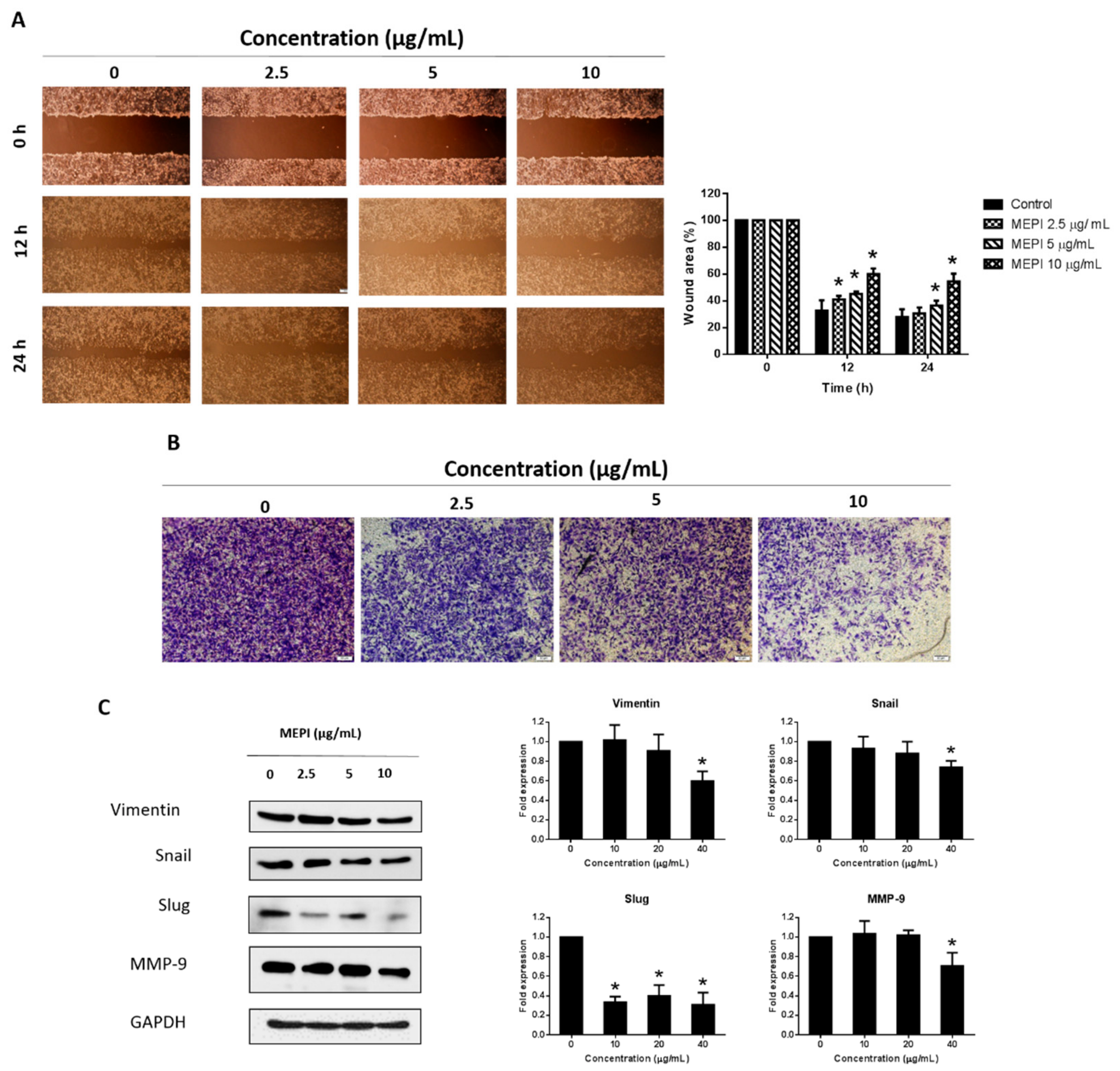 Molecules 24 02273 g002 Molecules 24 02273 g002