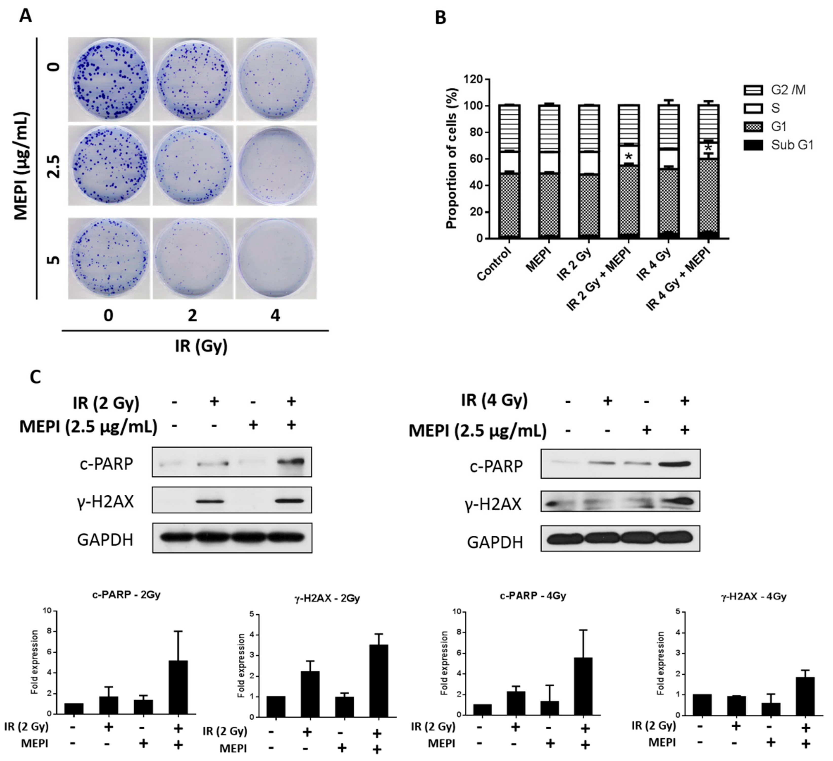 Molecules 24 02273 g005 Molecules 24 02273 g005