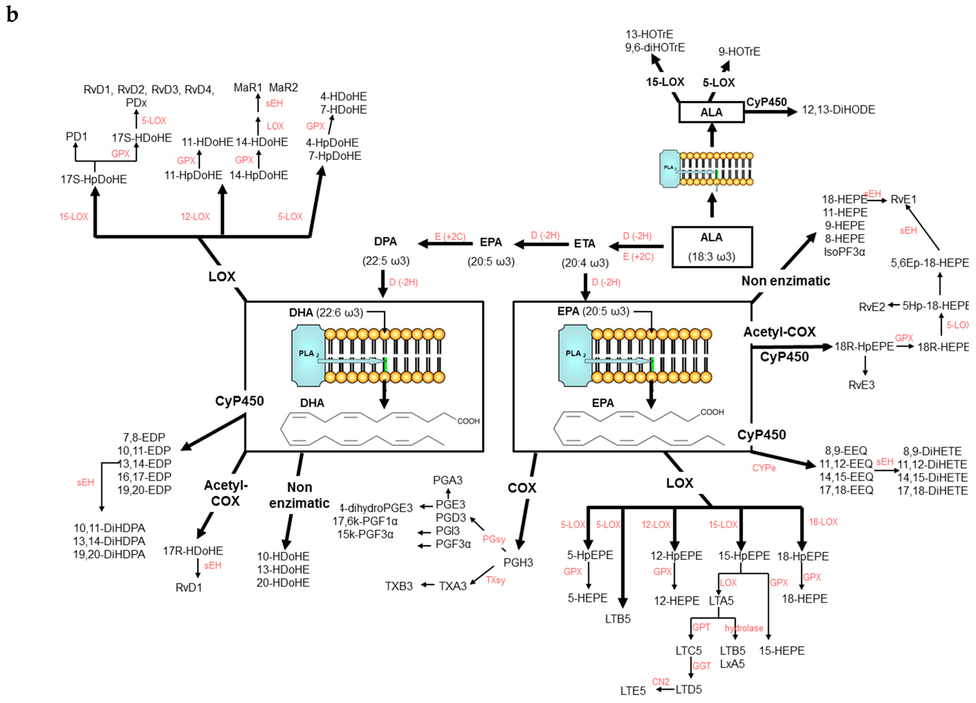 Molecules 24 02276 g001b Molecules 24 02276 g001b