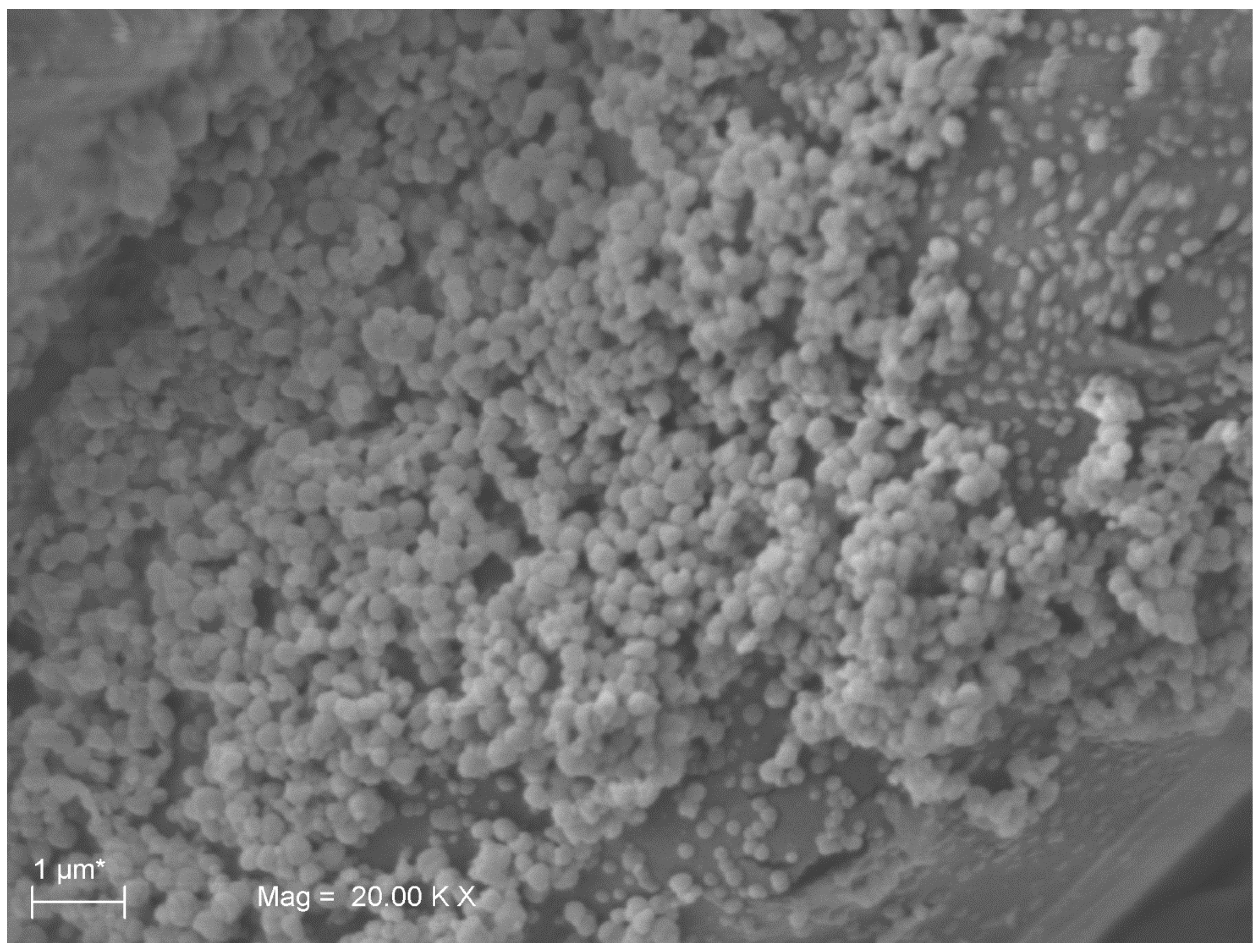 Molecules 24 02280 g005