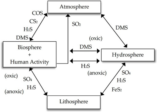 Molecules Free Full Text From Elemental Sulfur To Hydrogen Sulfide In Agricultural Soils And Plants Html