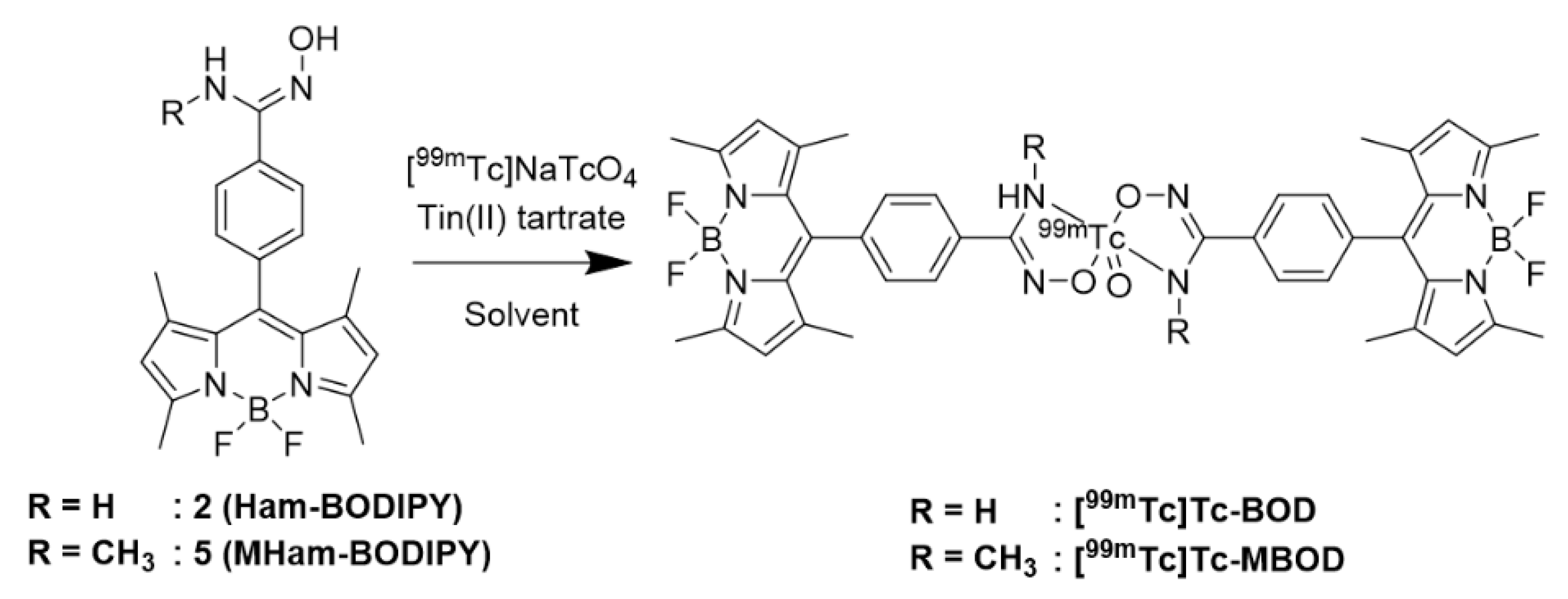 Molecules 24 02283 sch002