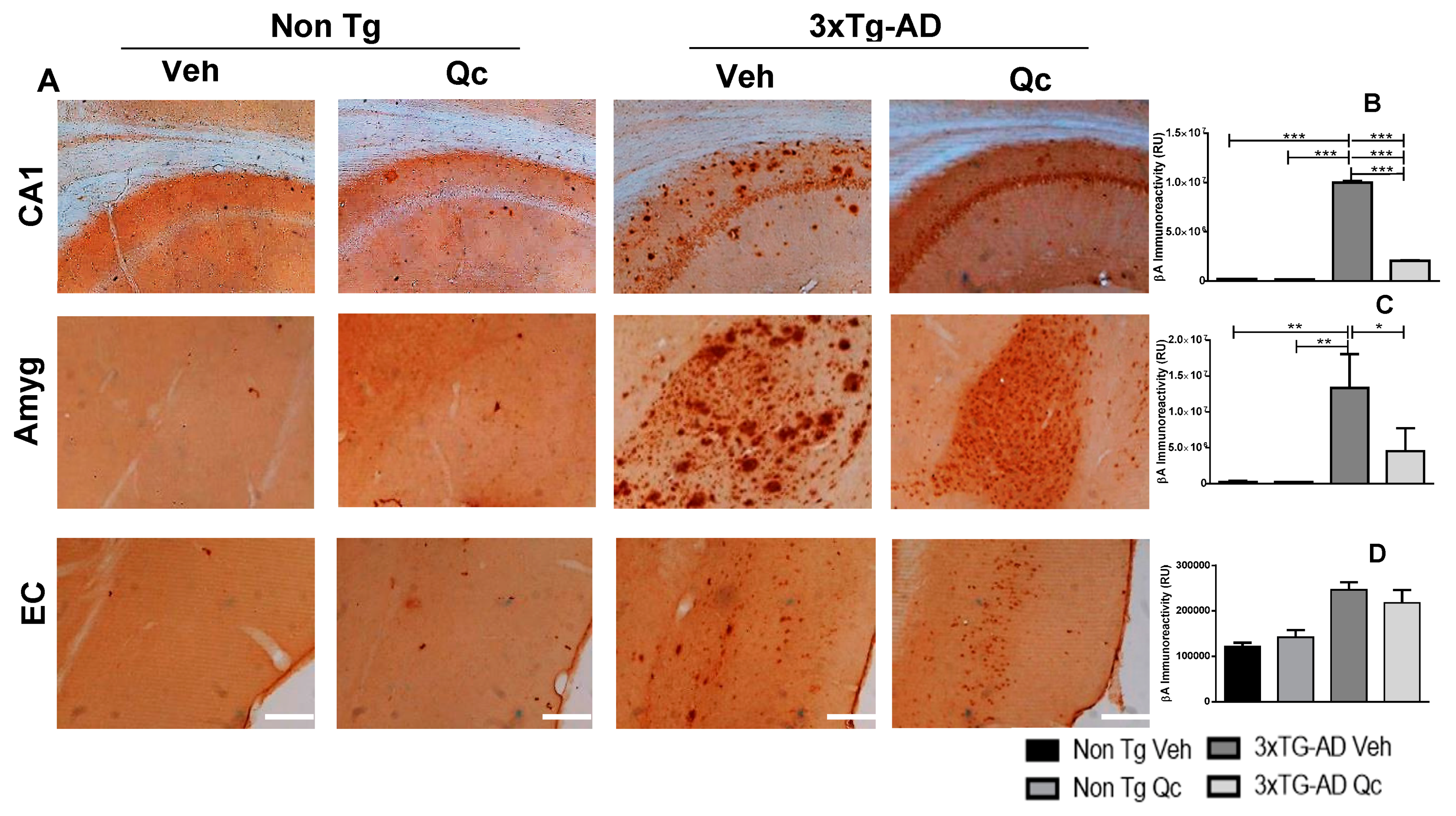 Molecules 24 02287 g001 Molecules 24 02287 g001