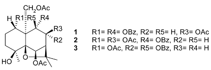 Molecules 24 02288 i001 Molecules 24 02288 i001