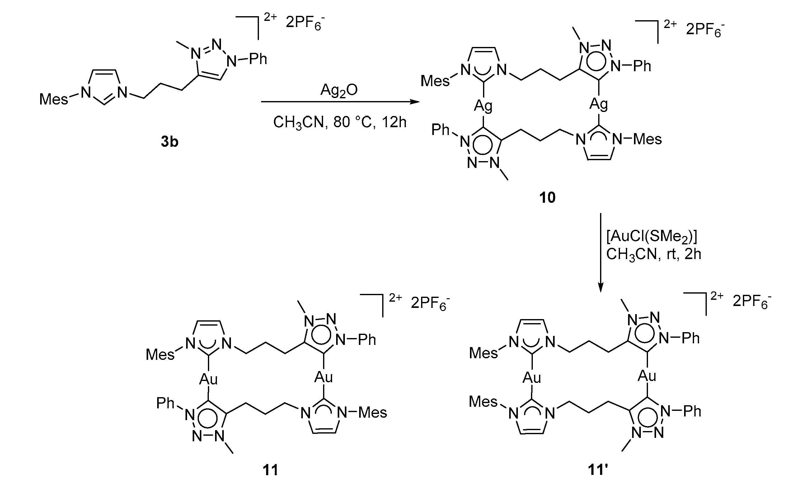 Molecules 24 02305 sch005 Molecules 24 02305 sch005
