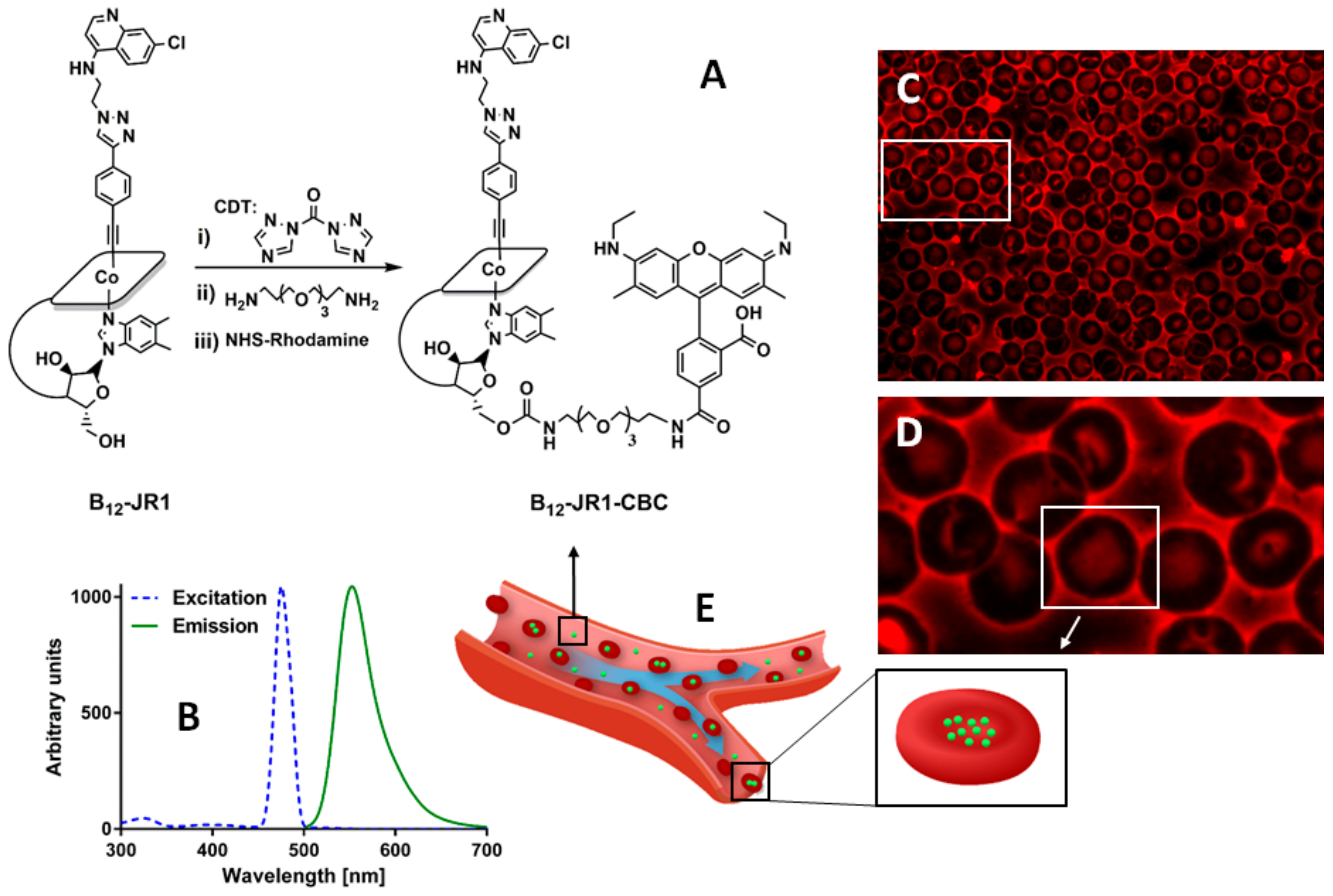 Molecules 24 02310 g004 Molecules 24 02310 g004