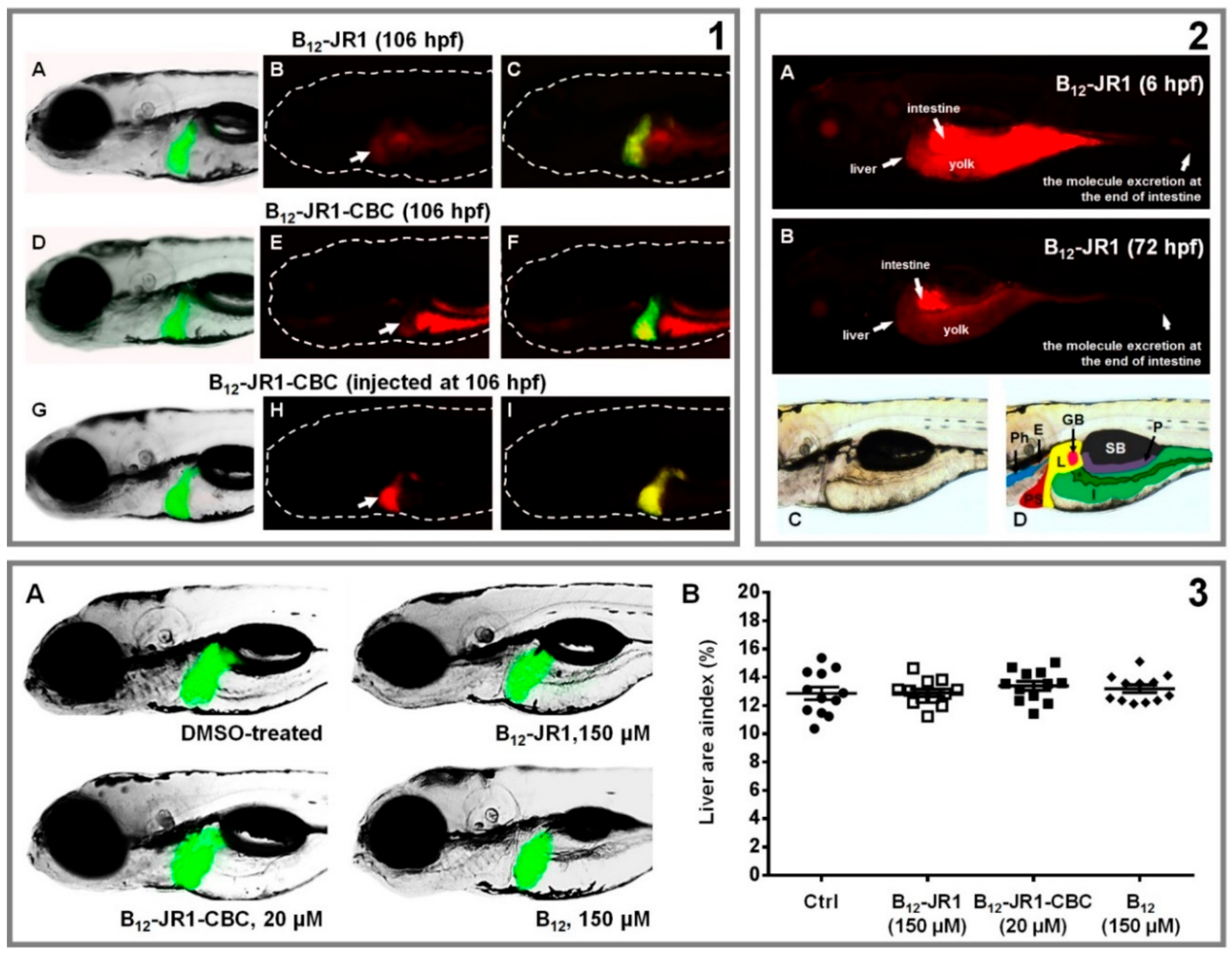 Molecules 24 02310 g007 Molecules 24 02310 g007