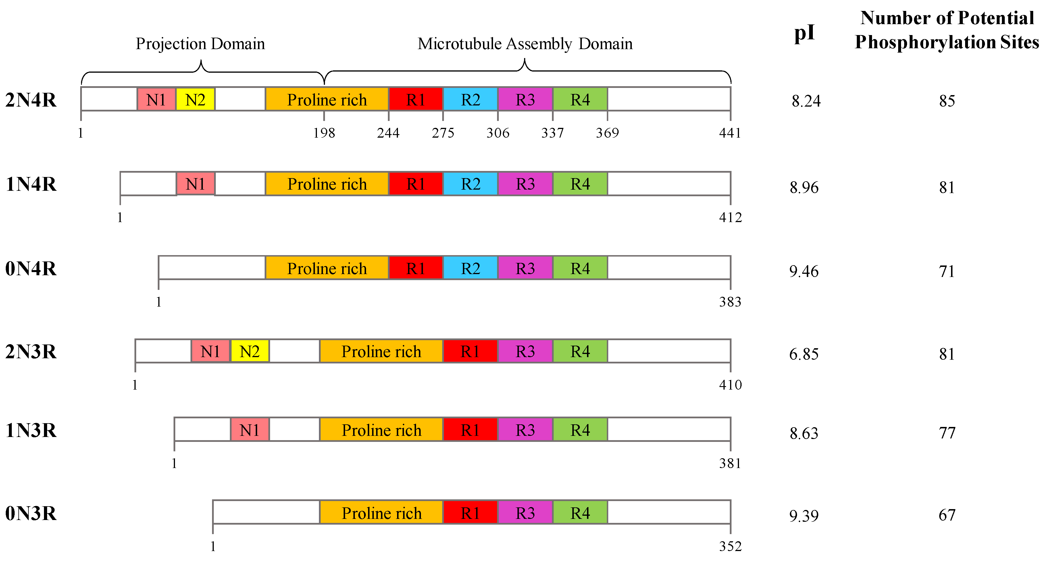 Molecules 24 02316 g006 Molecules 24 02316 g006