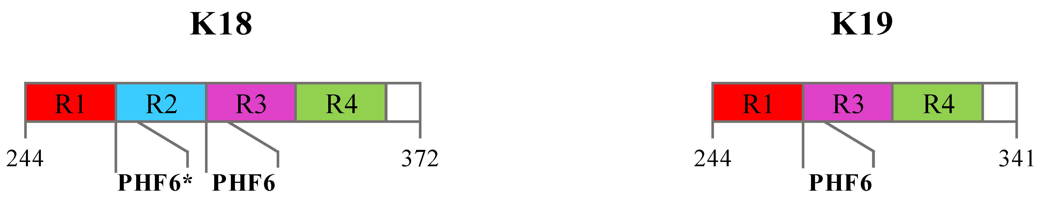 Molecules 24 02316 g008 Molecules 24 02316 g008