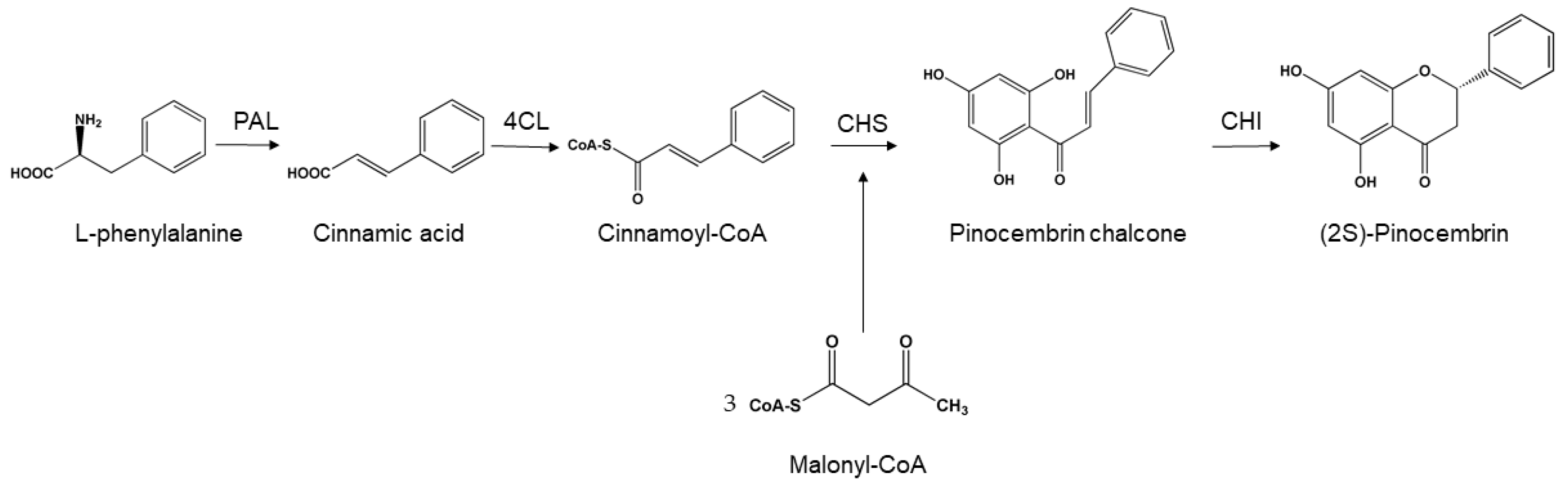 Molecules 24 02323 g002 Molecules 24 02323 g002
