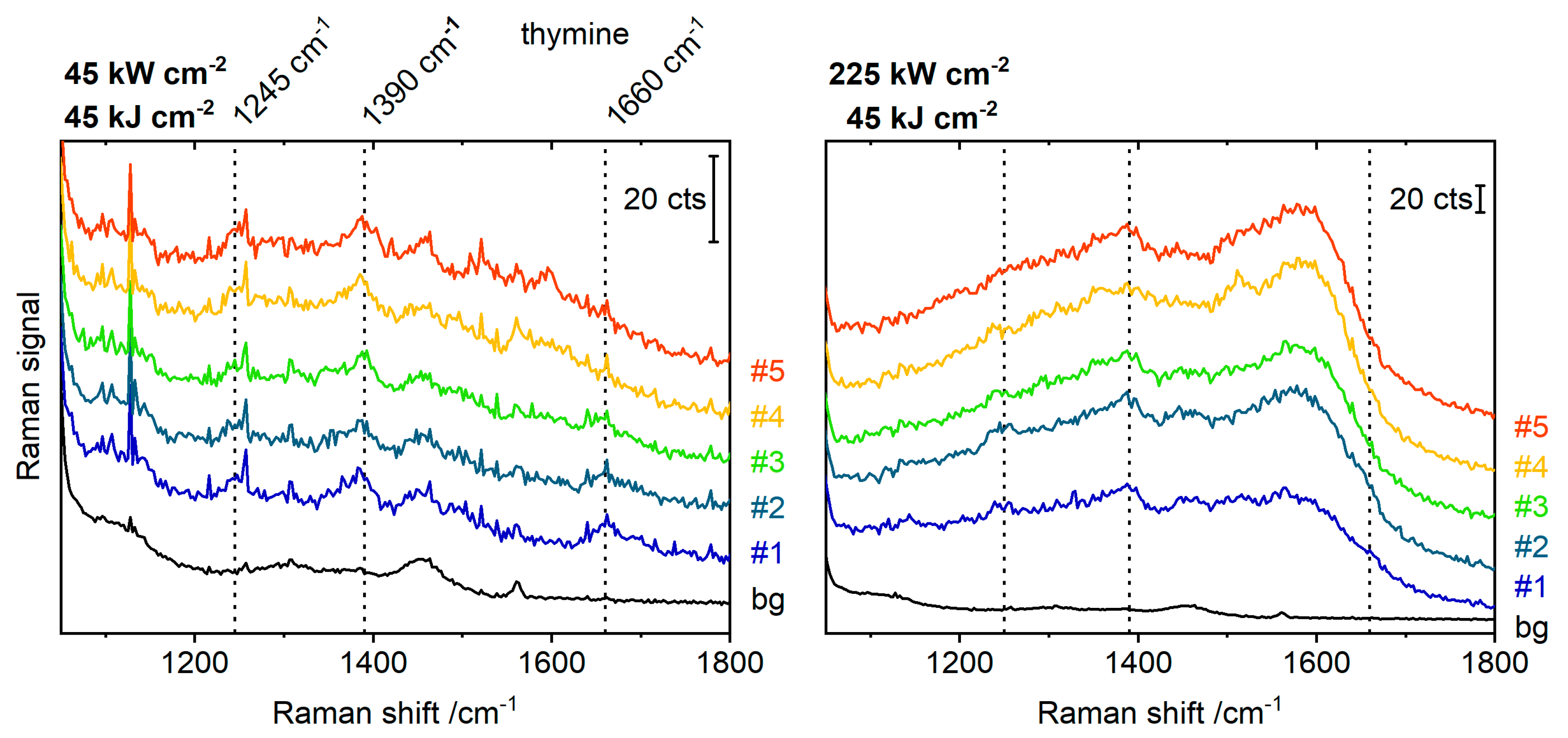 Molecules 24 02324 g002 Molecules 24 02324 g002