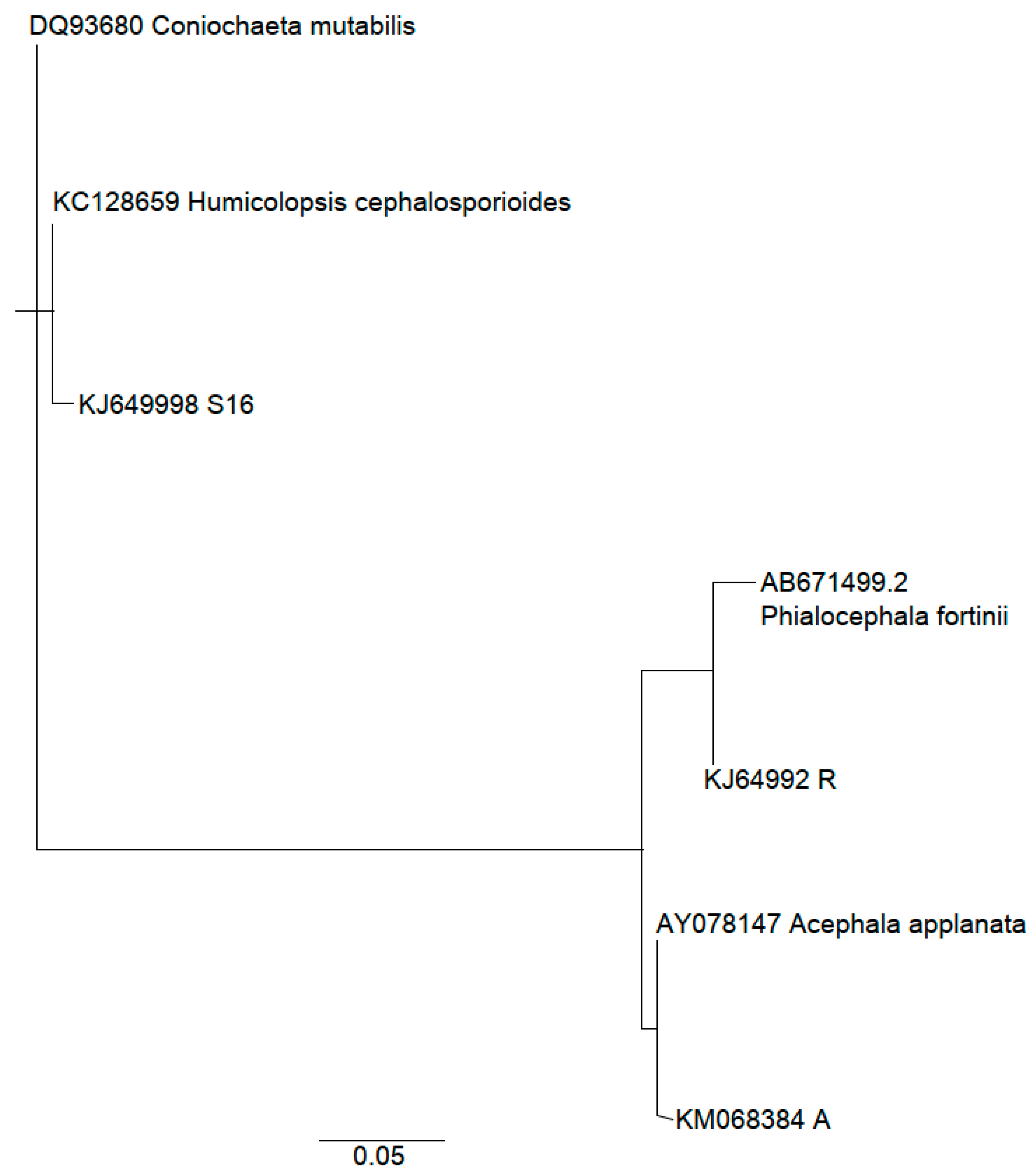 Molecules 24 02330 g001