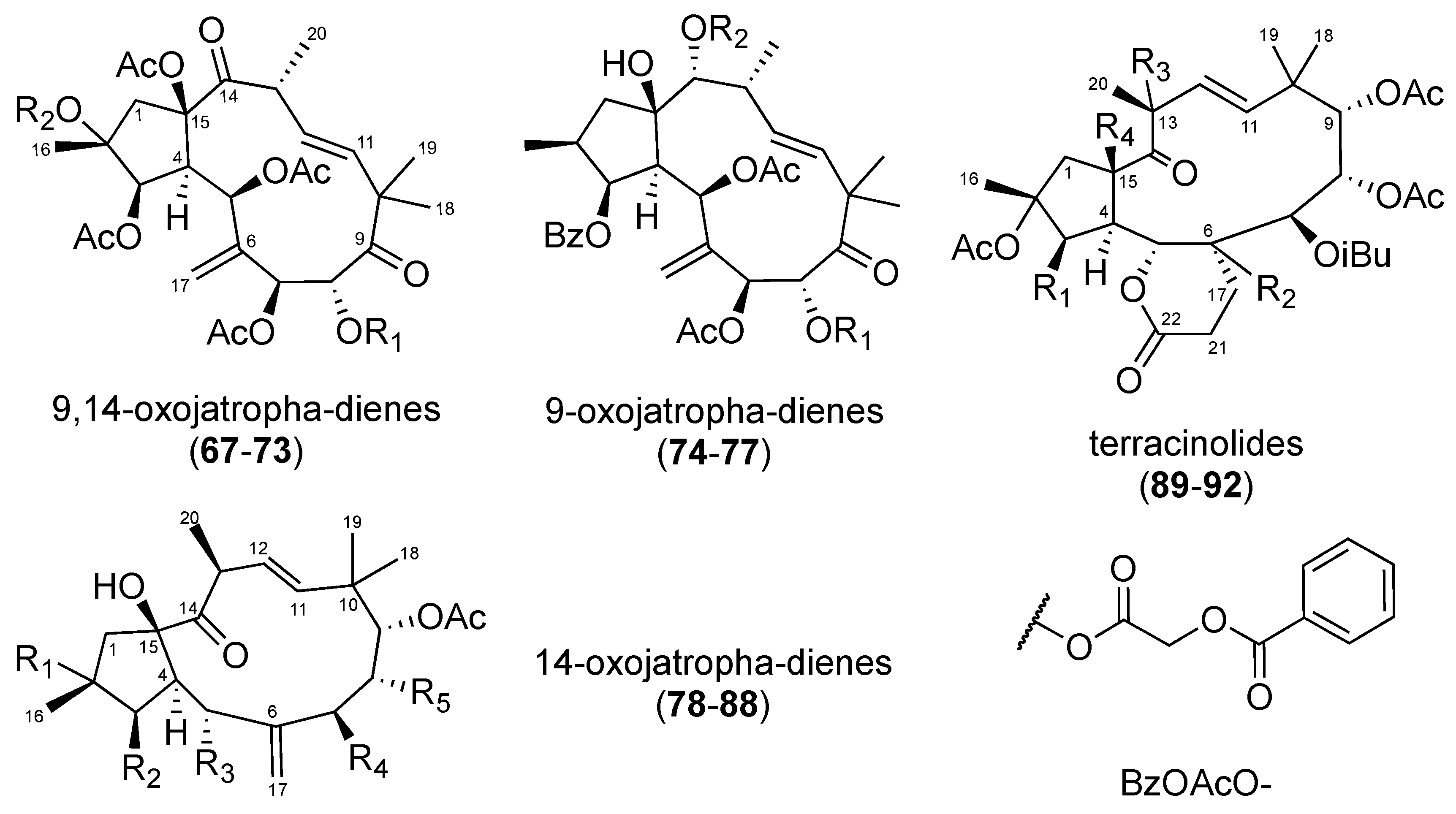 Molecules 24 02336 g004