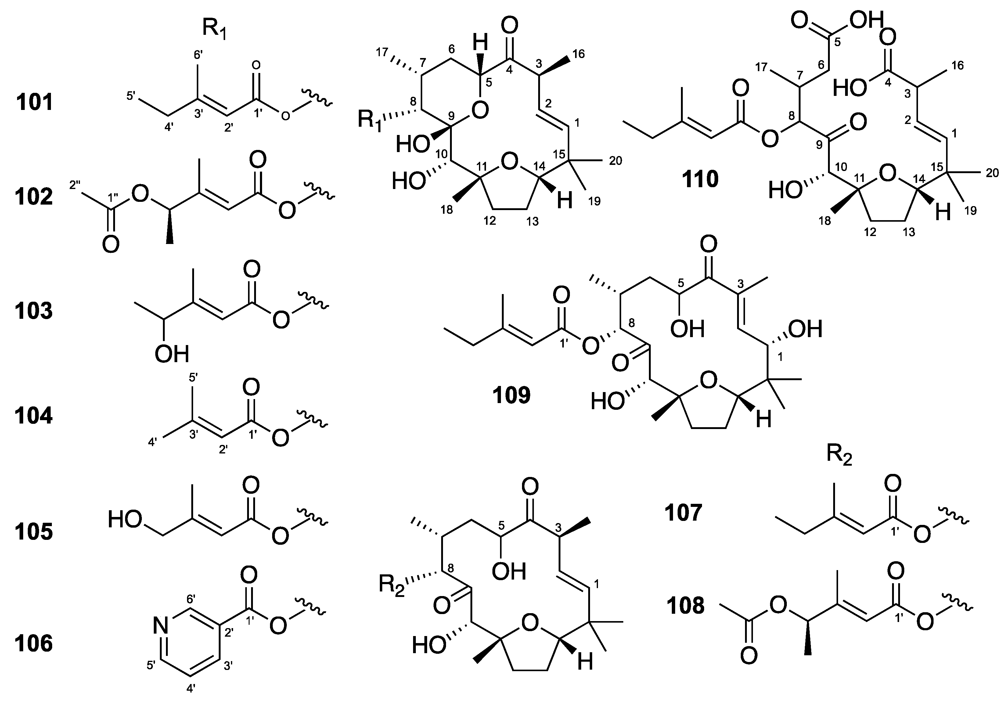 Molecules 24 02336 g006