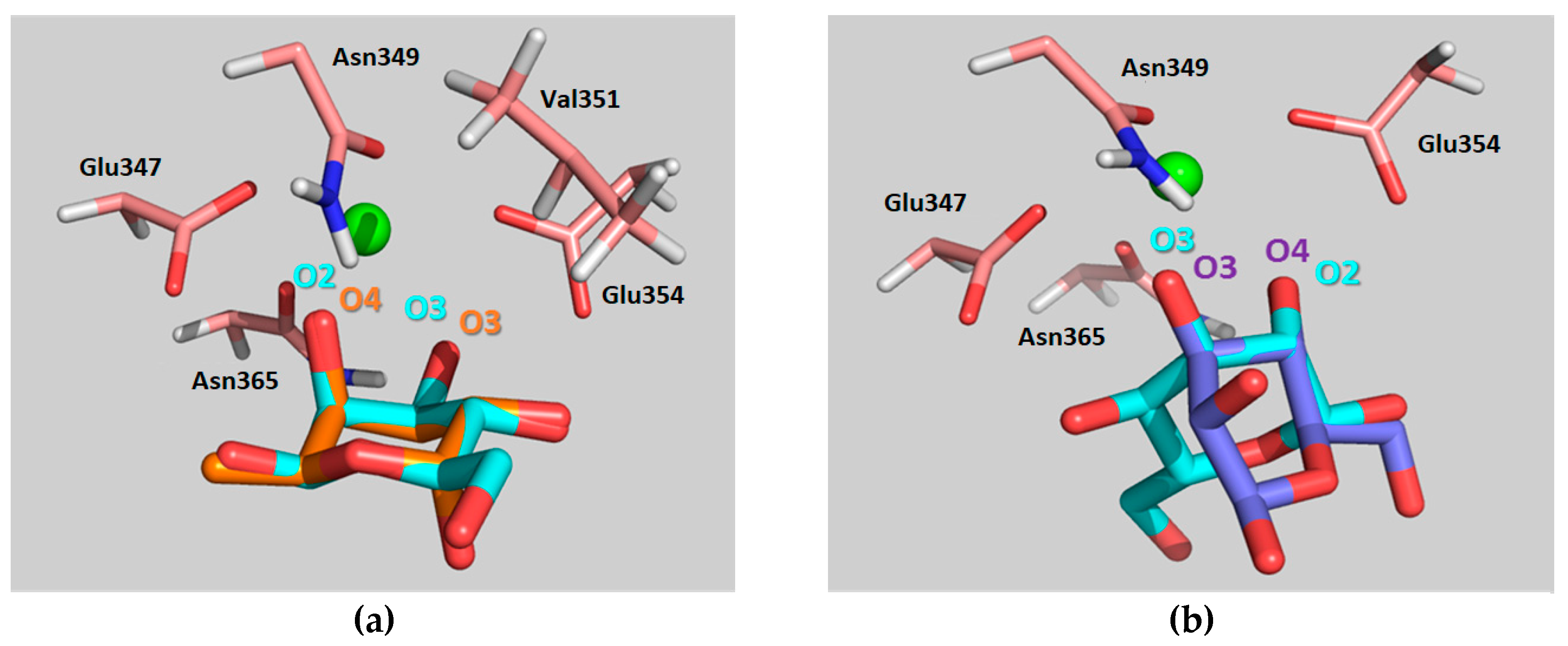 Molecules 24 02337 g006