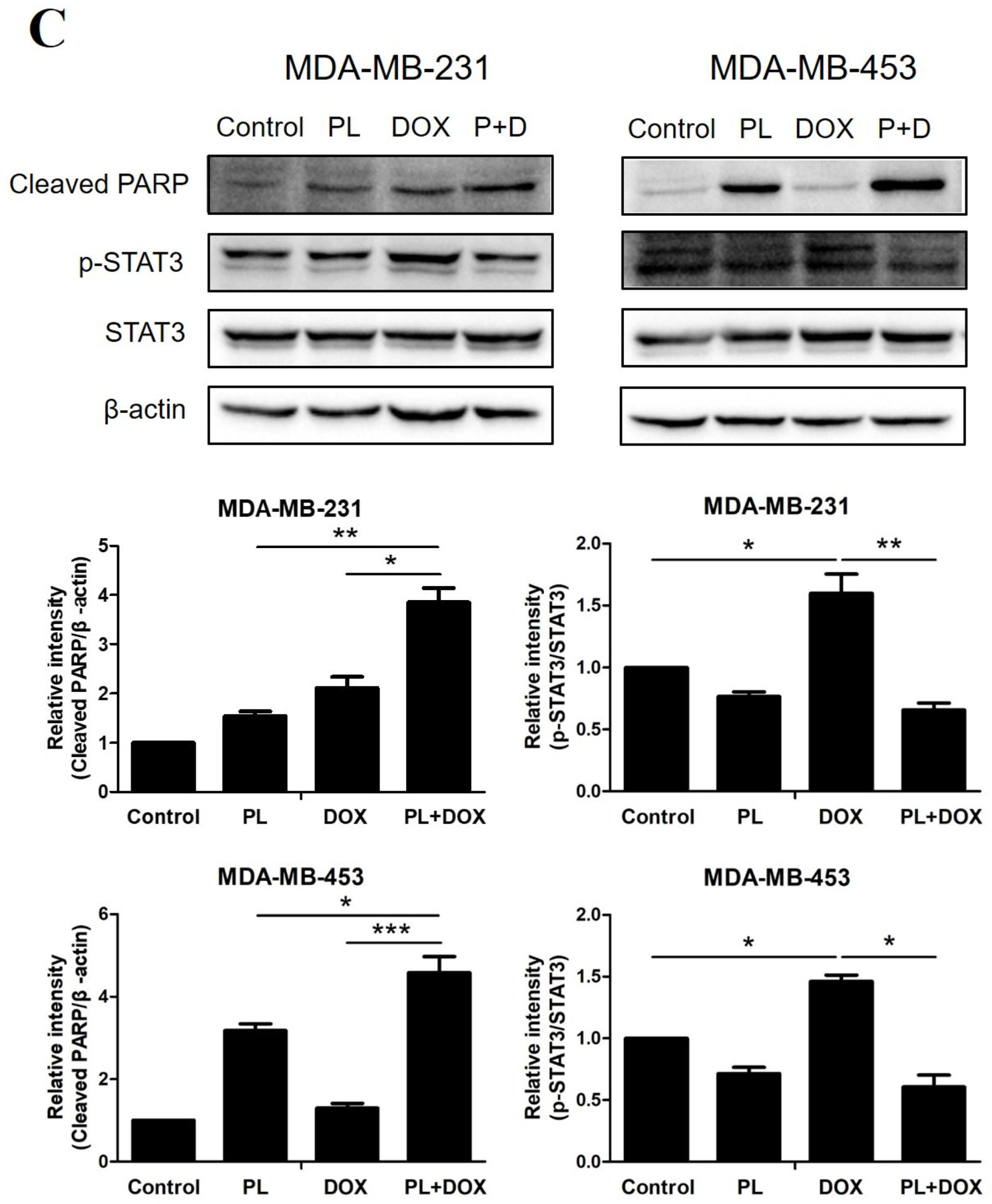 Molecules 24 02338 g005b