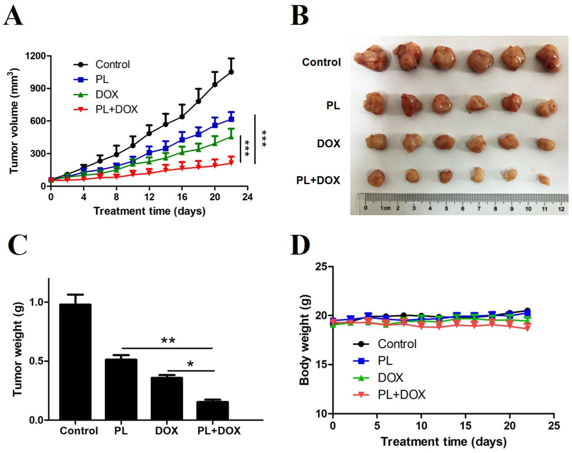 Molecules 24 02338 g006