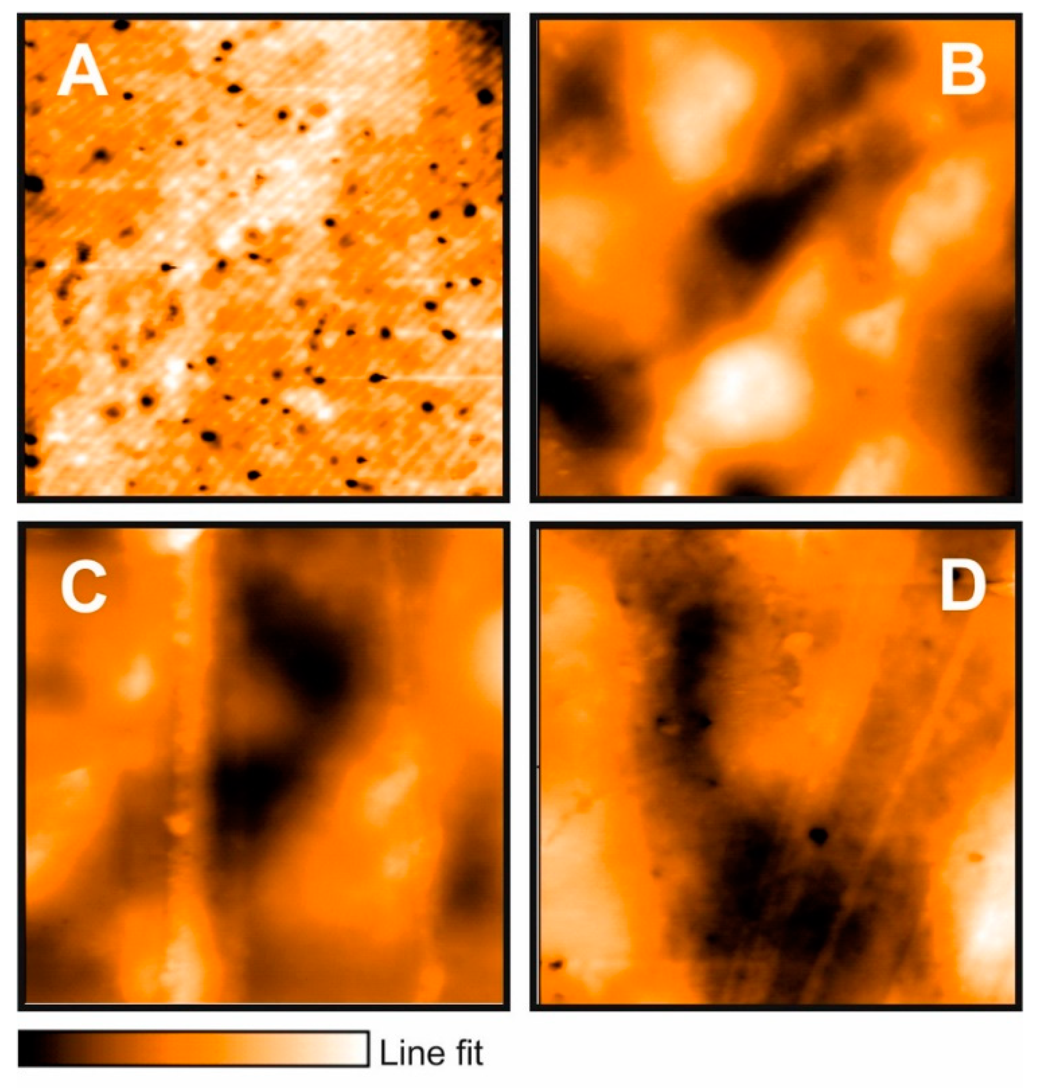 Molecules 24 02340 g003