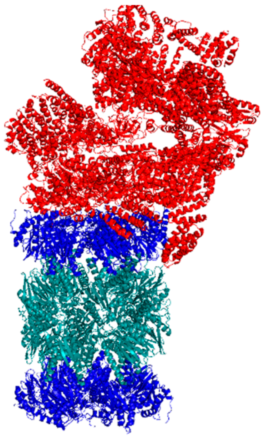 Molecules 24 02341 g006