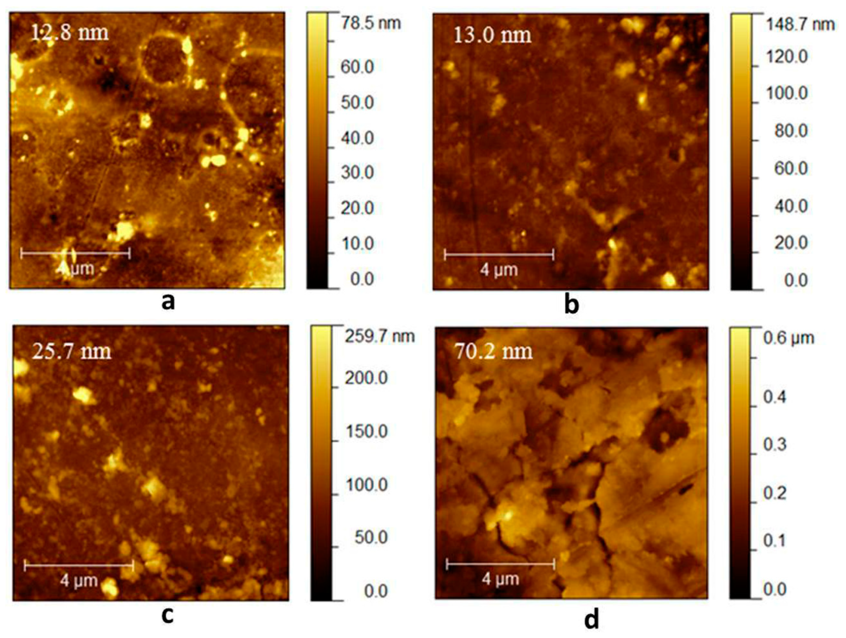 Molecules 24 02343 g004