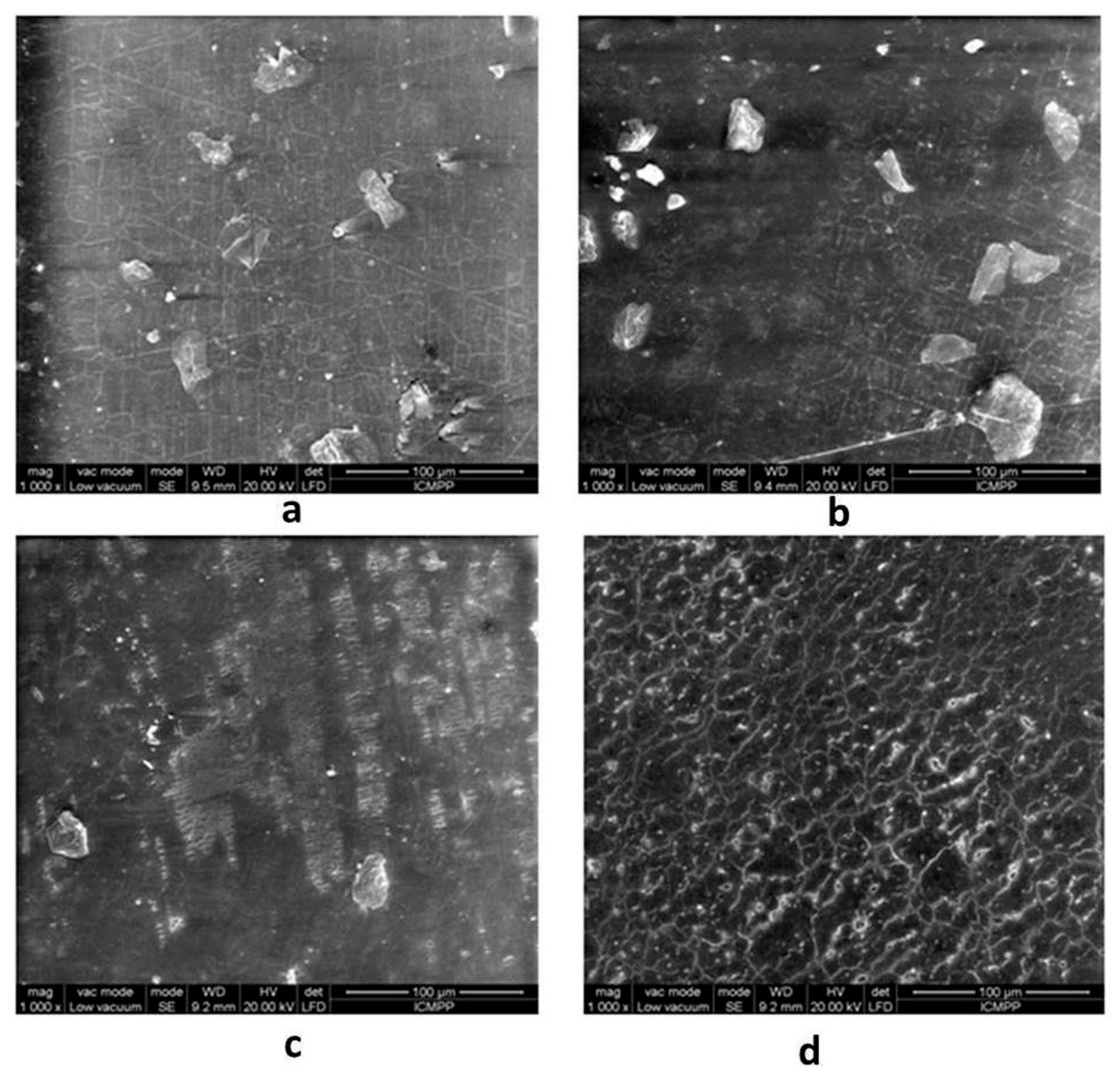 Molecules 24 02343 g006