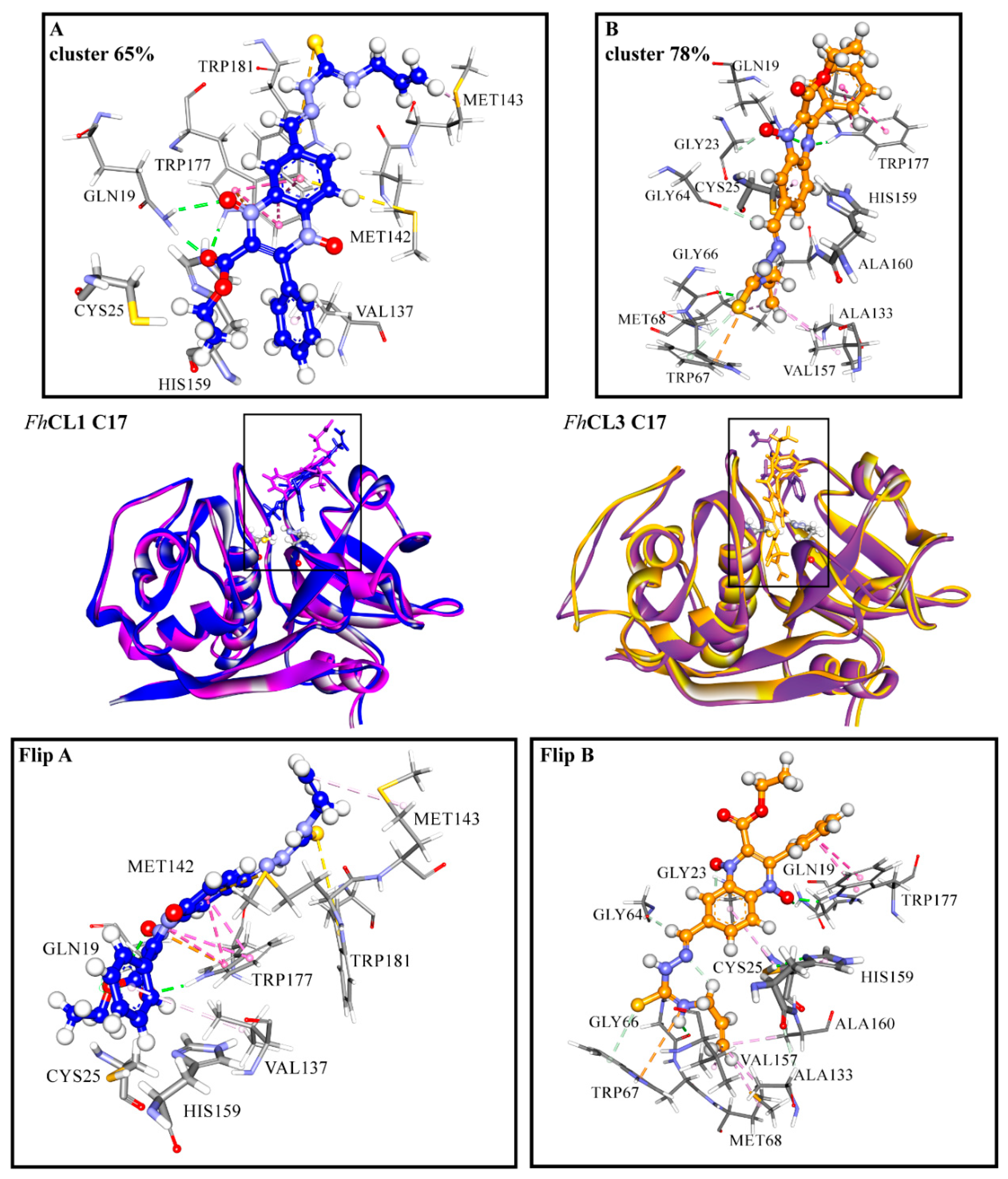 Molecules 24 02348 g007 Molecules 24 02348 g007