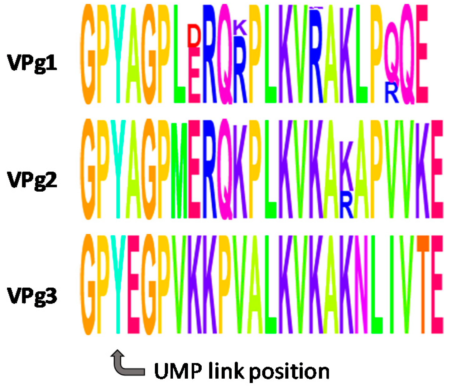 Molecules 24 02360 g001 Molecules 24 02360 g001