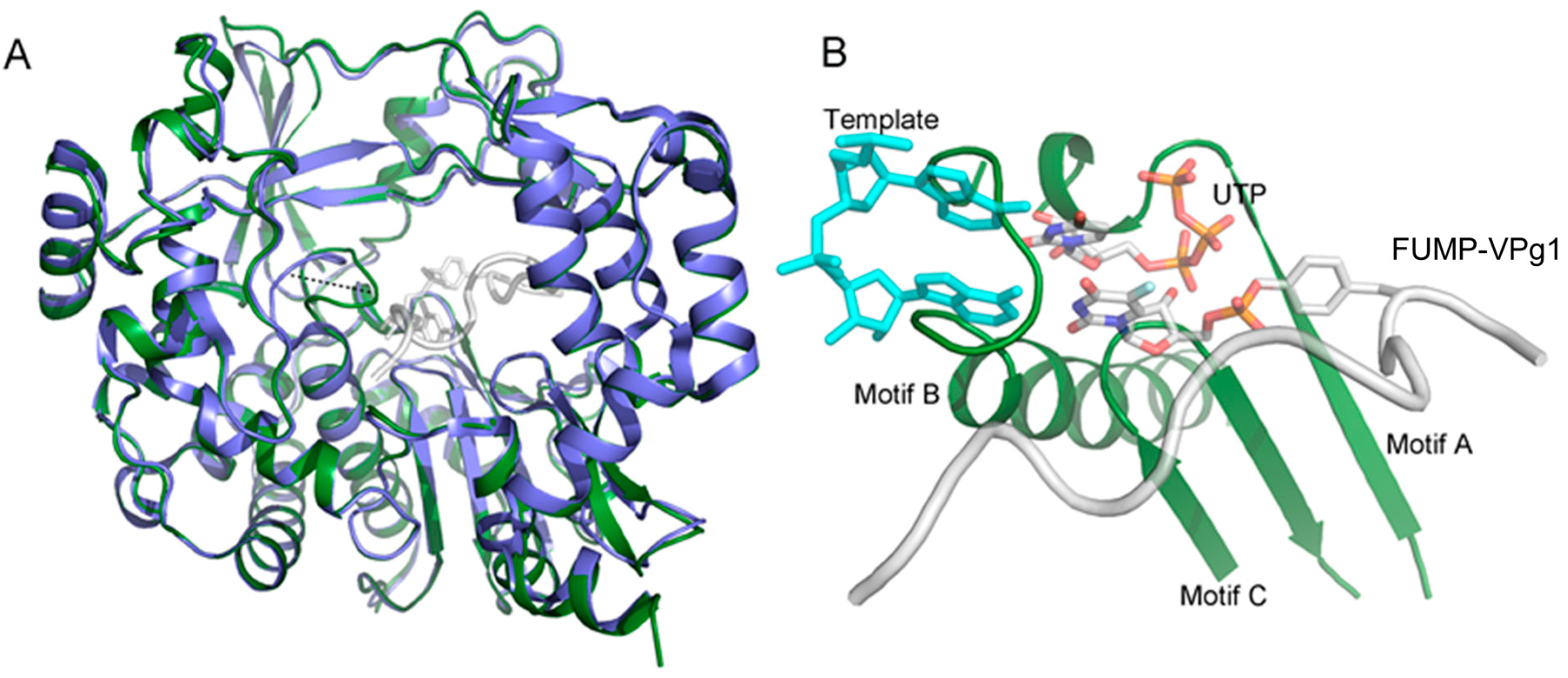 Molecules 24 02360 g003 Molecules 24 02360 g003
