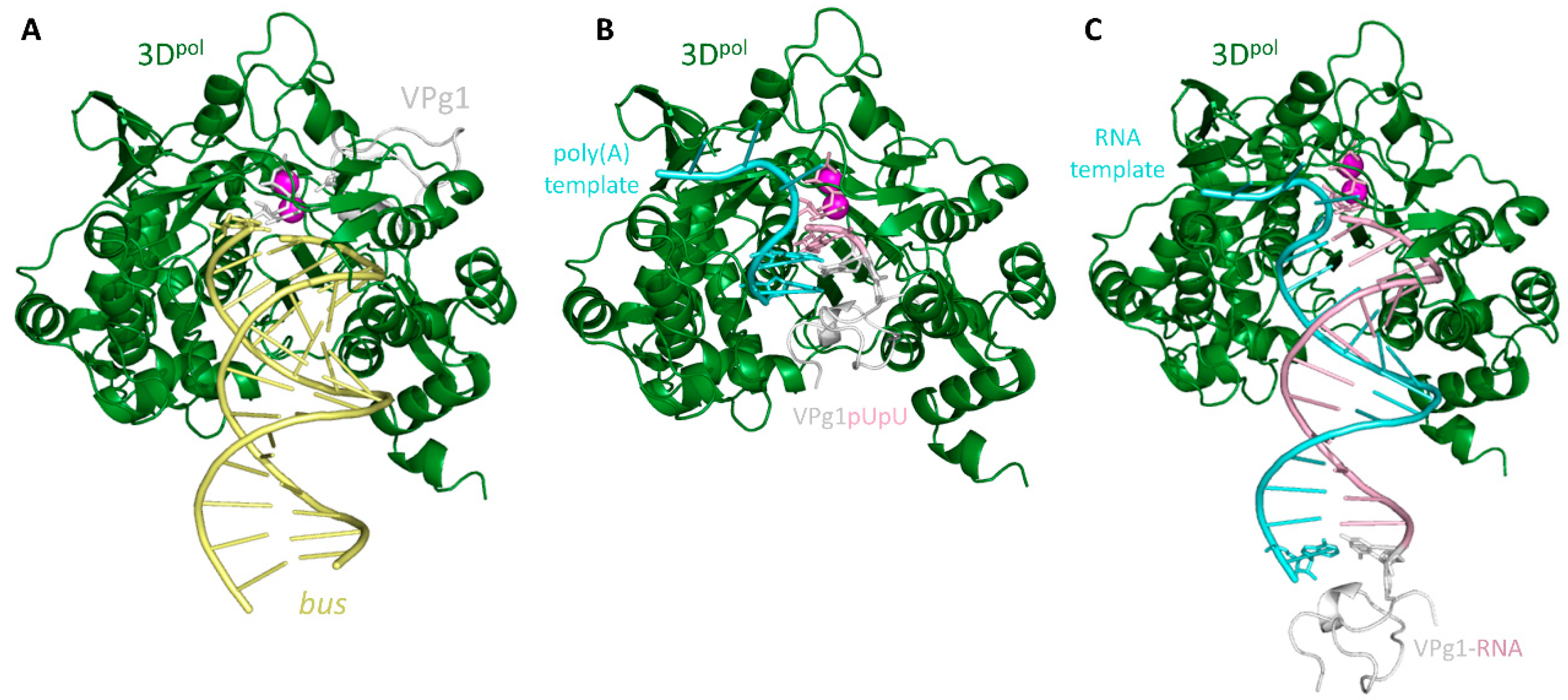 Molecules 24 02360 g004 Molecules 24 02360 g004