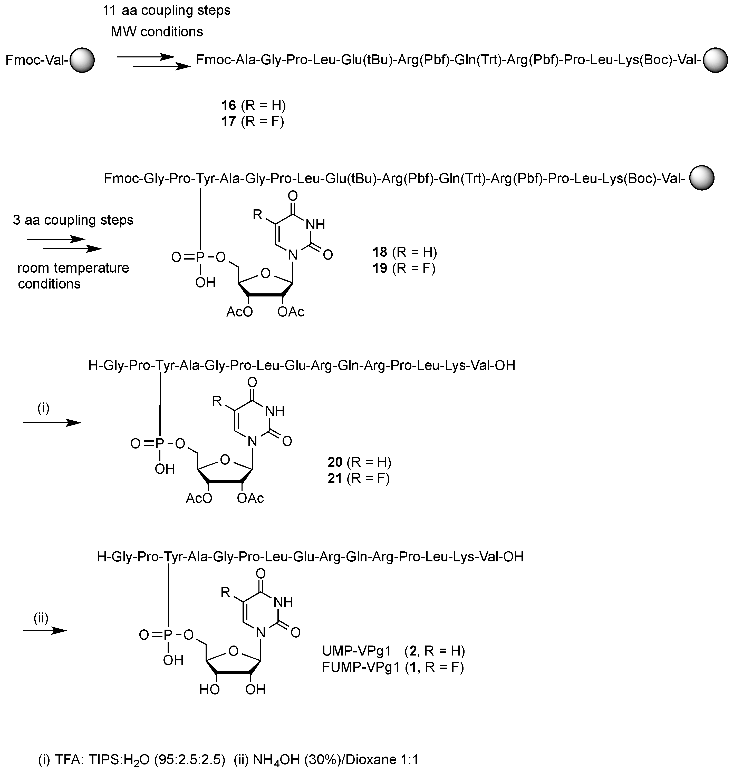 Molecules 24 02360 sch002 Molecules 24 02360 sch002