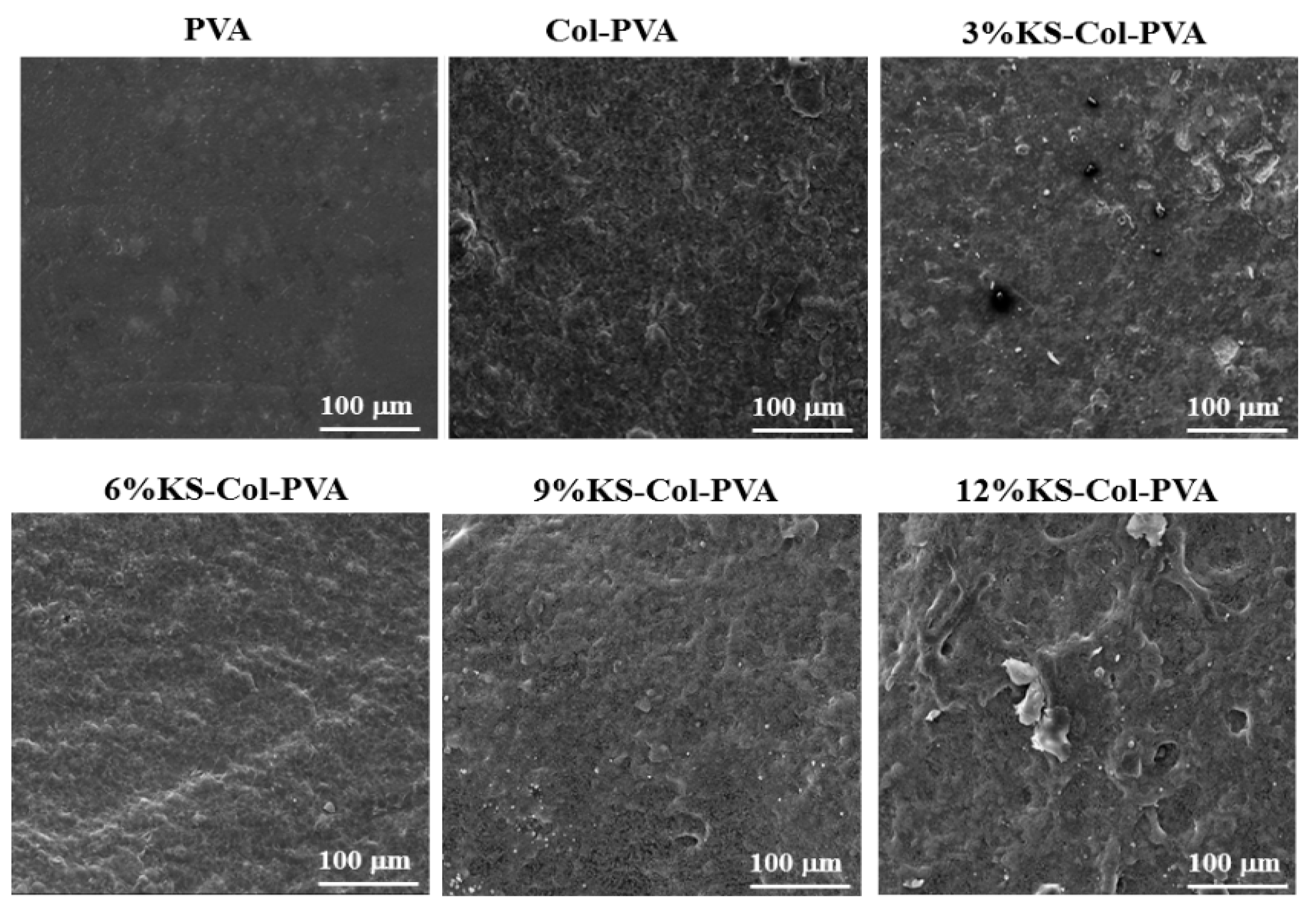 Molecules 24 02363 g001 Molecules 24 02363 g001