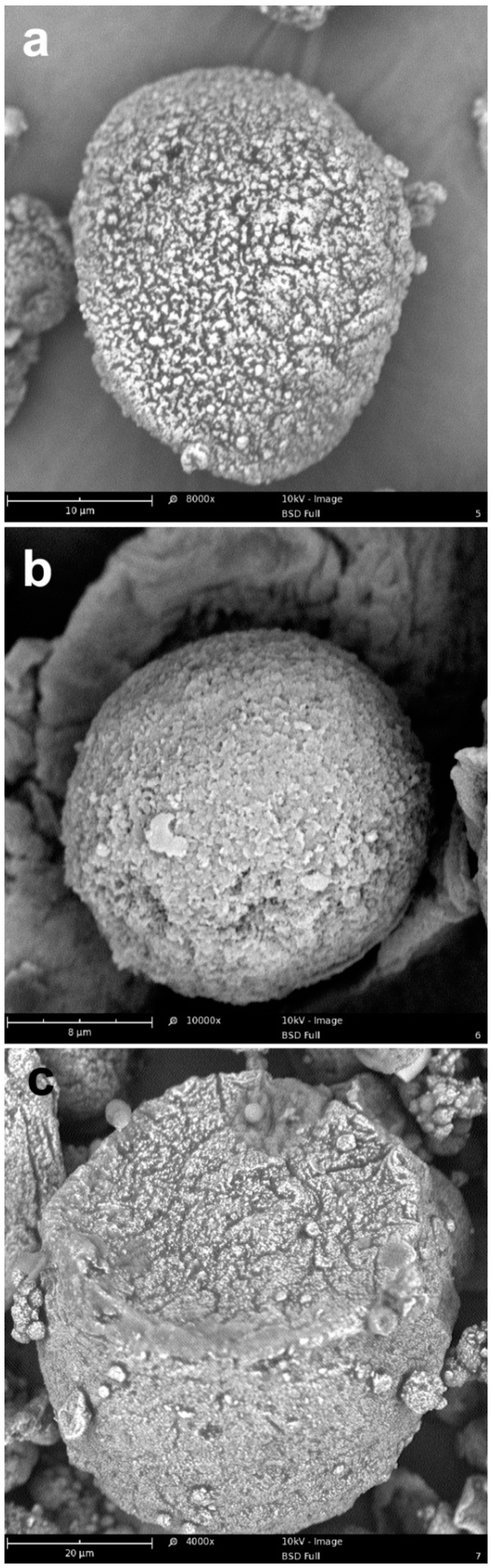 Molecules 24 02371 g006 Molecules 24 02371 g006