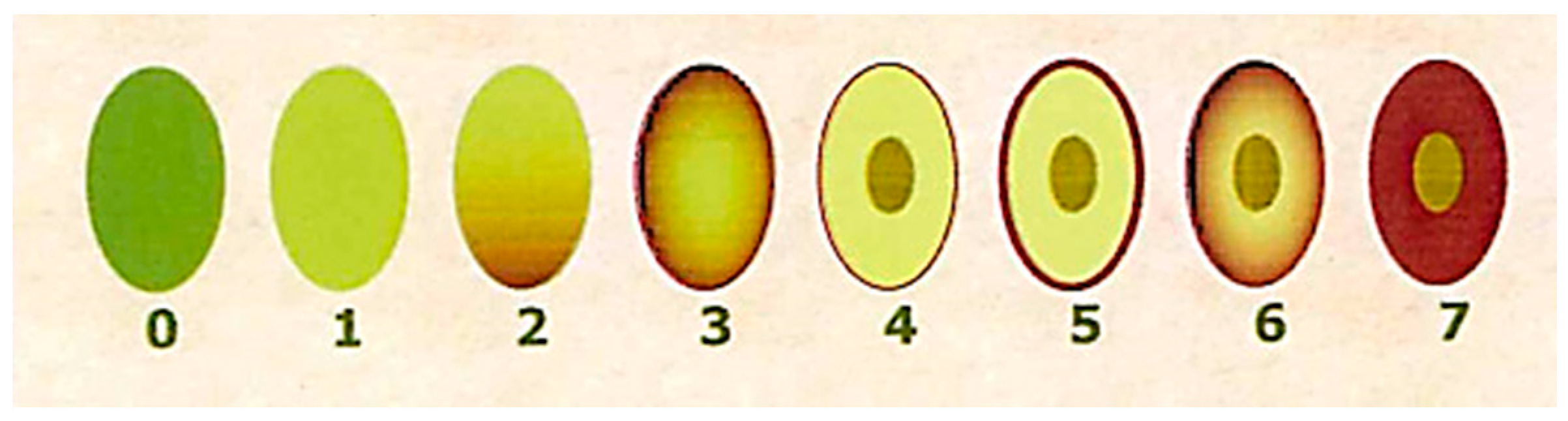 Molecules 24 02379 g001 550