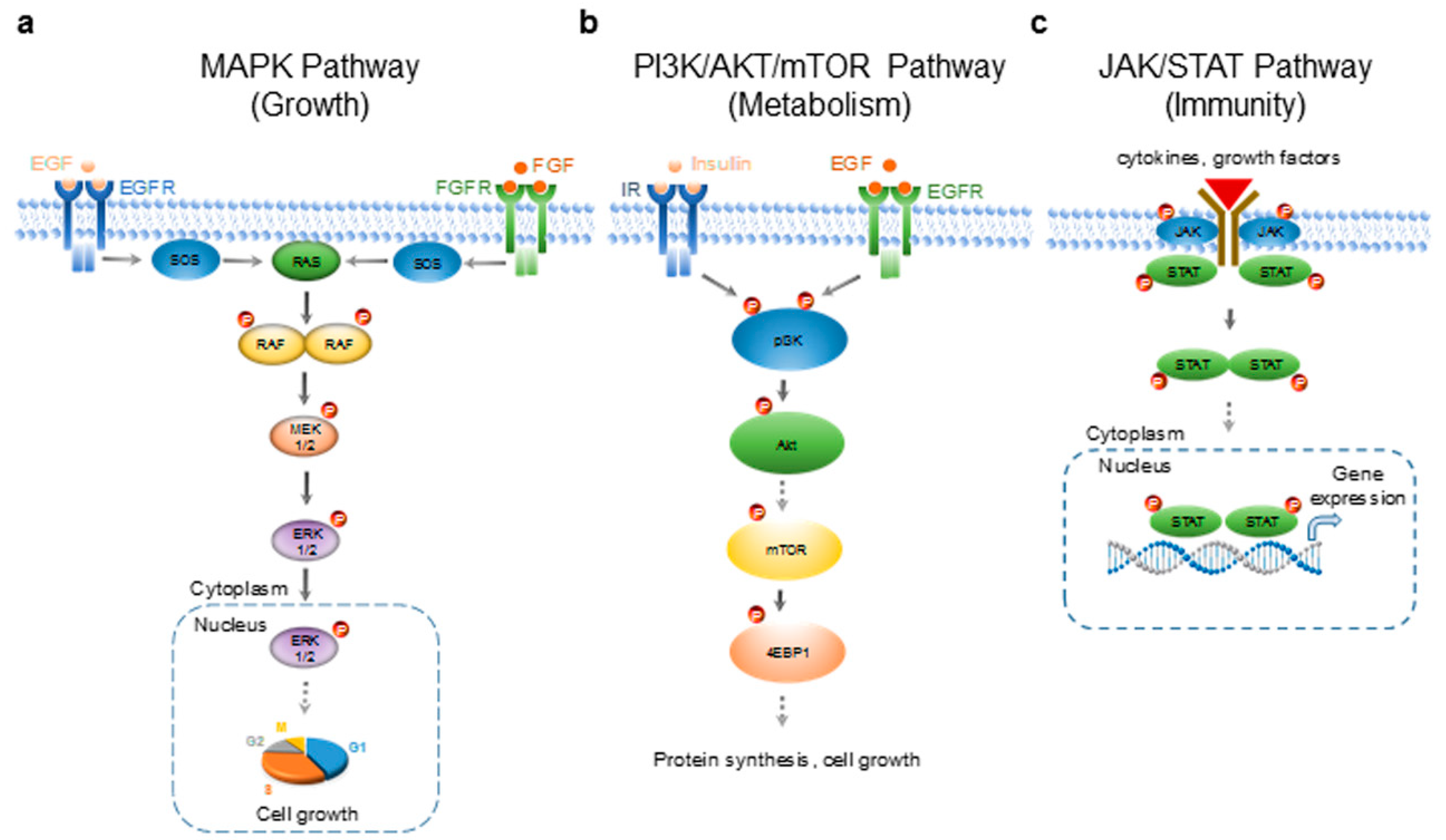 Molecules 24 02383 g001 Molecules 24 02383 g001