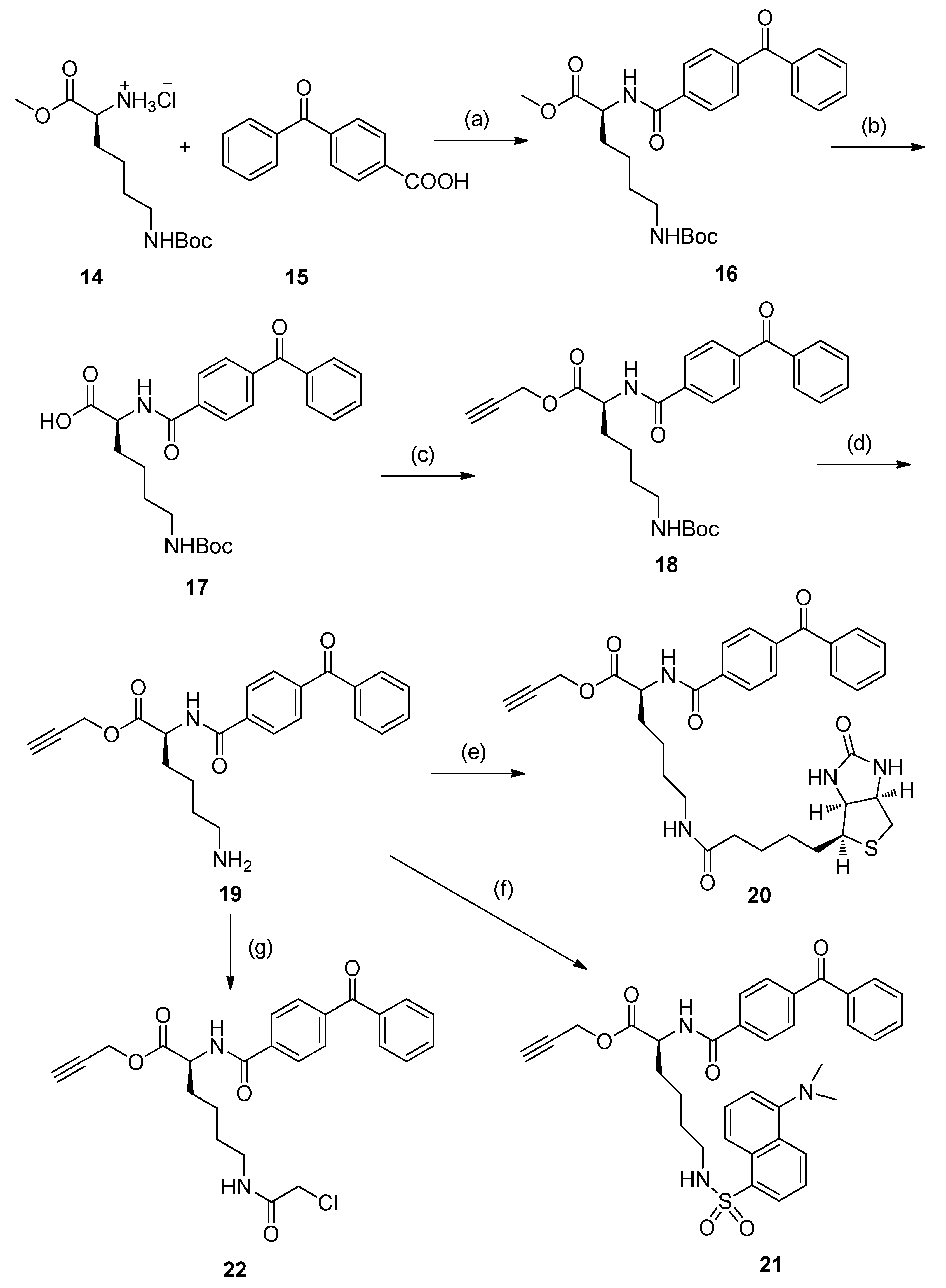 Molecules 24 02394 sch002