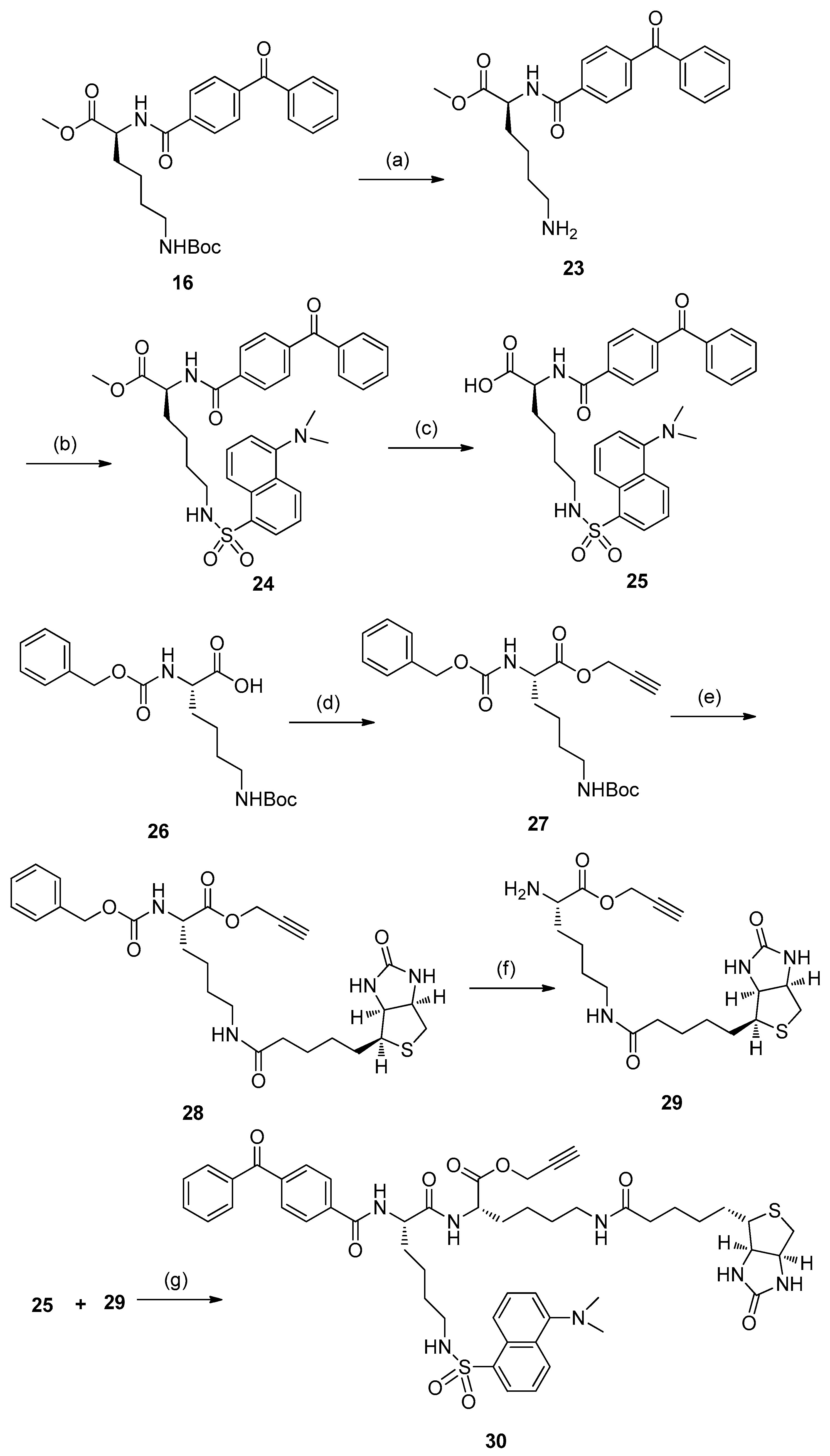 Molecules 24 02394 sch003