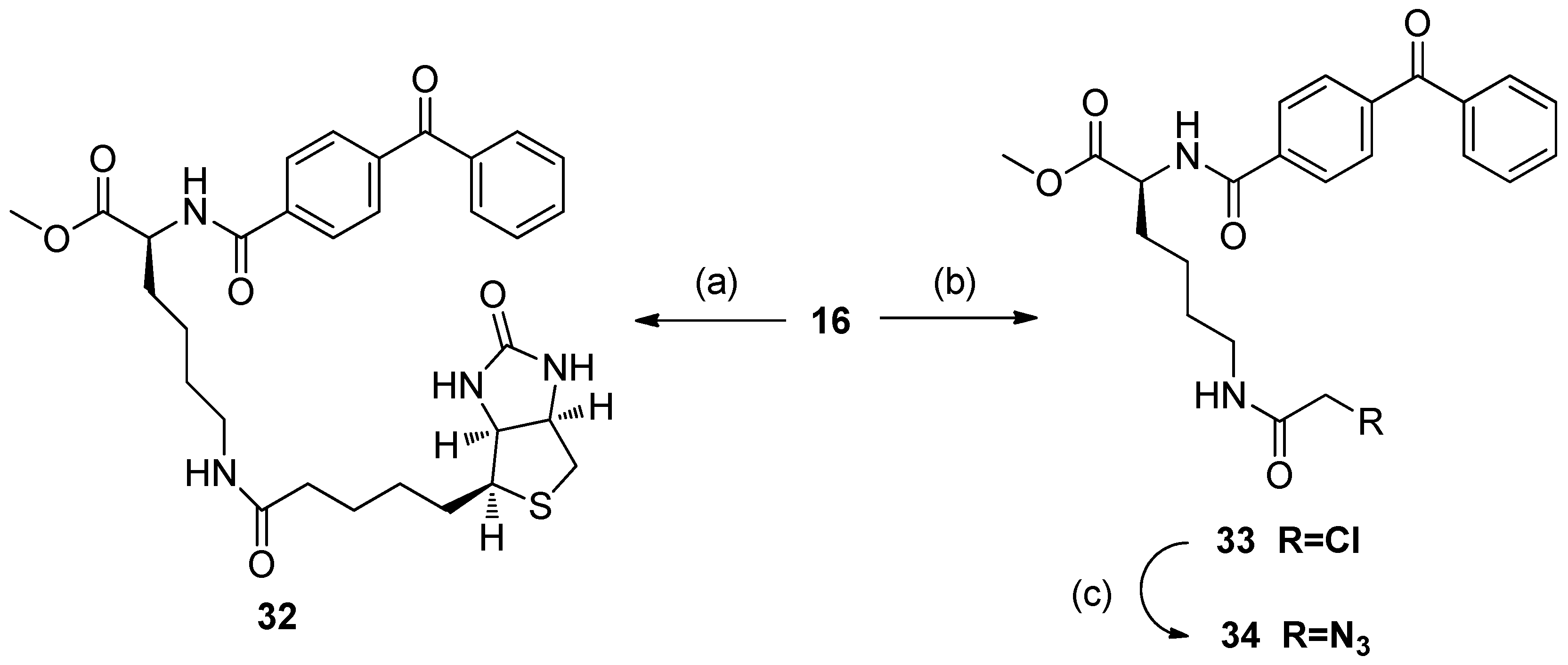 Molecules 24 02394 sch005