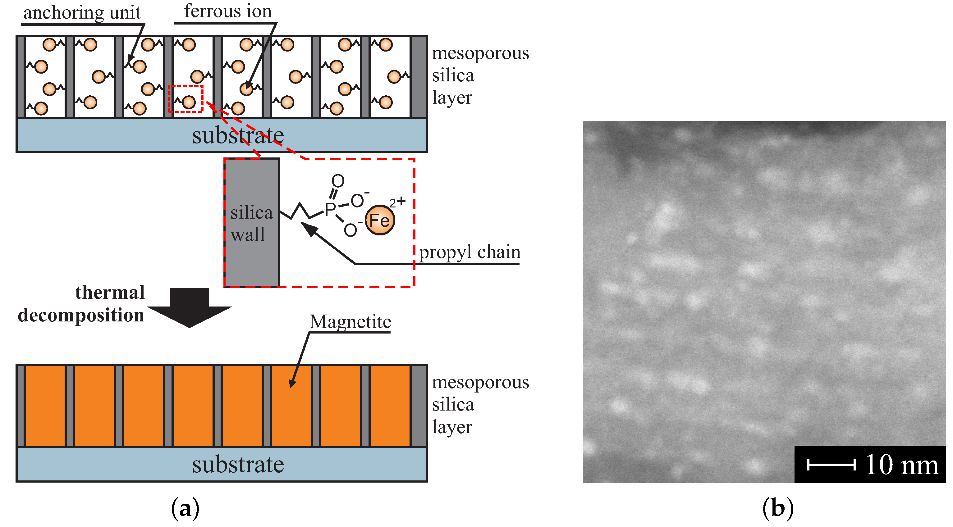Molecules Free Full Text Mesoporous Silica Based Materials For Electronics Oriented Applications Html