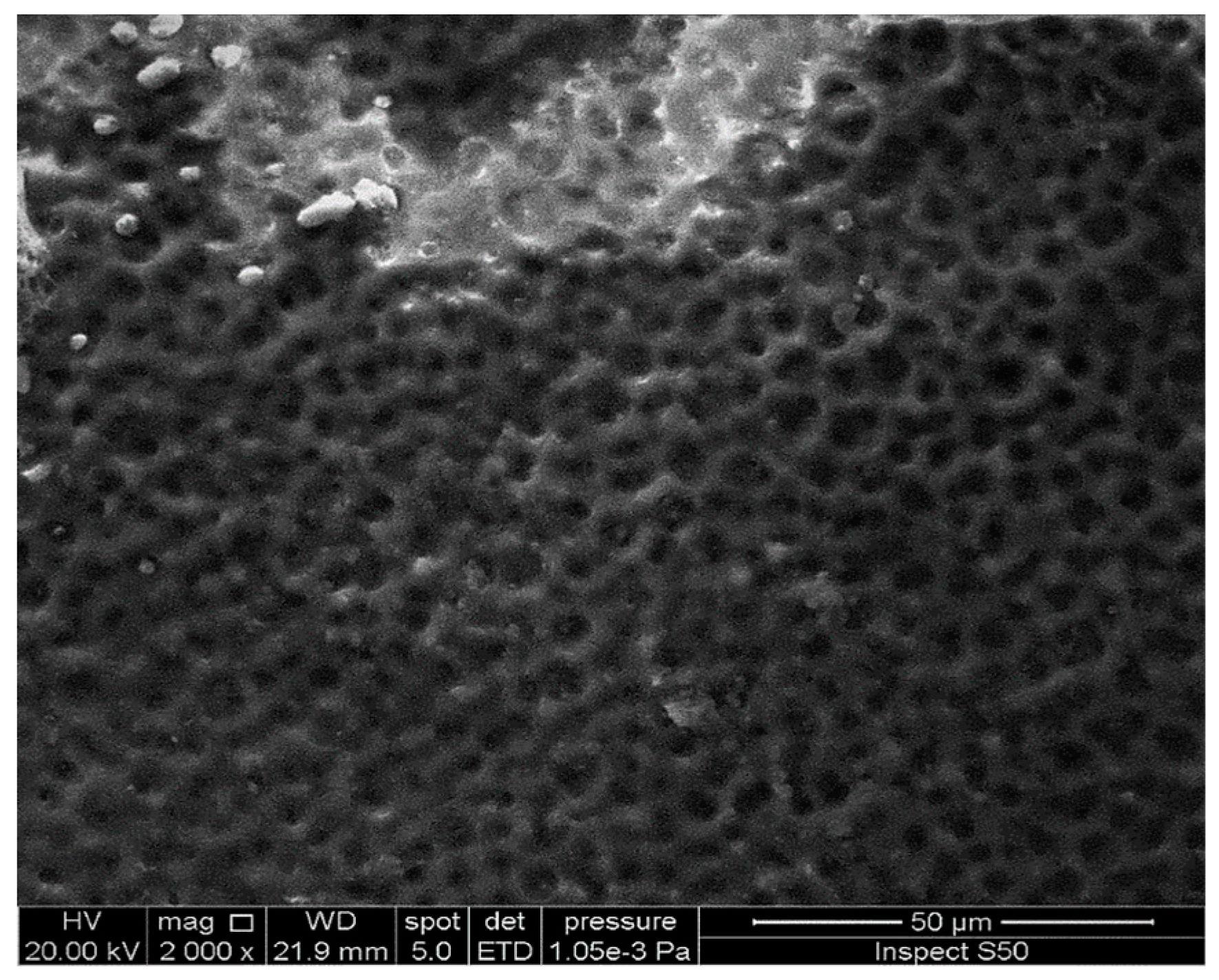 Molecules 24 02396 g013 Molecules 24 02396 g013