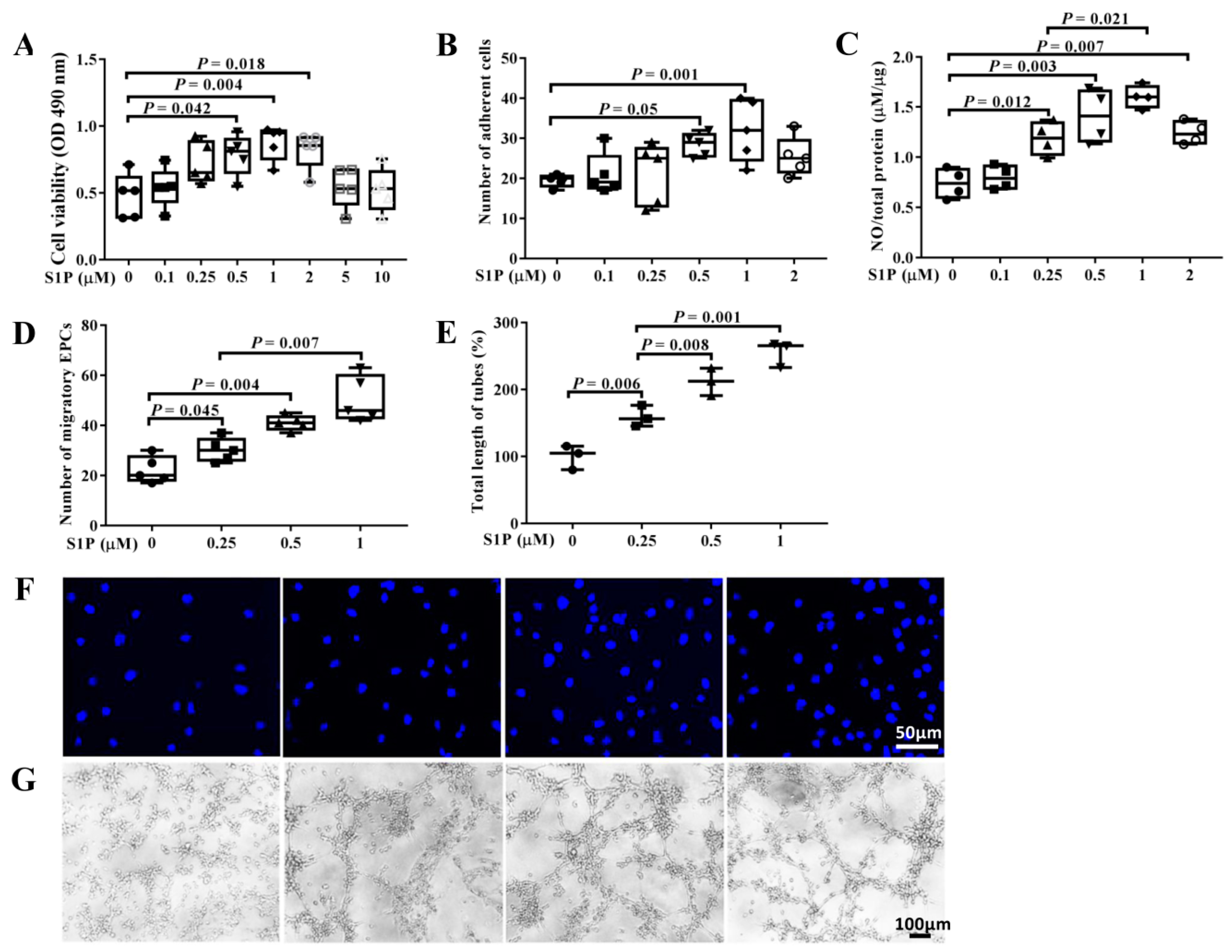Molecules 24 02404 g002 Molecules 24 02404 g002