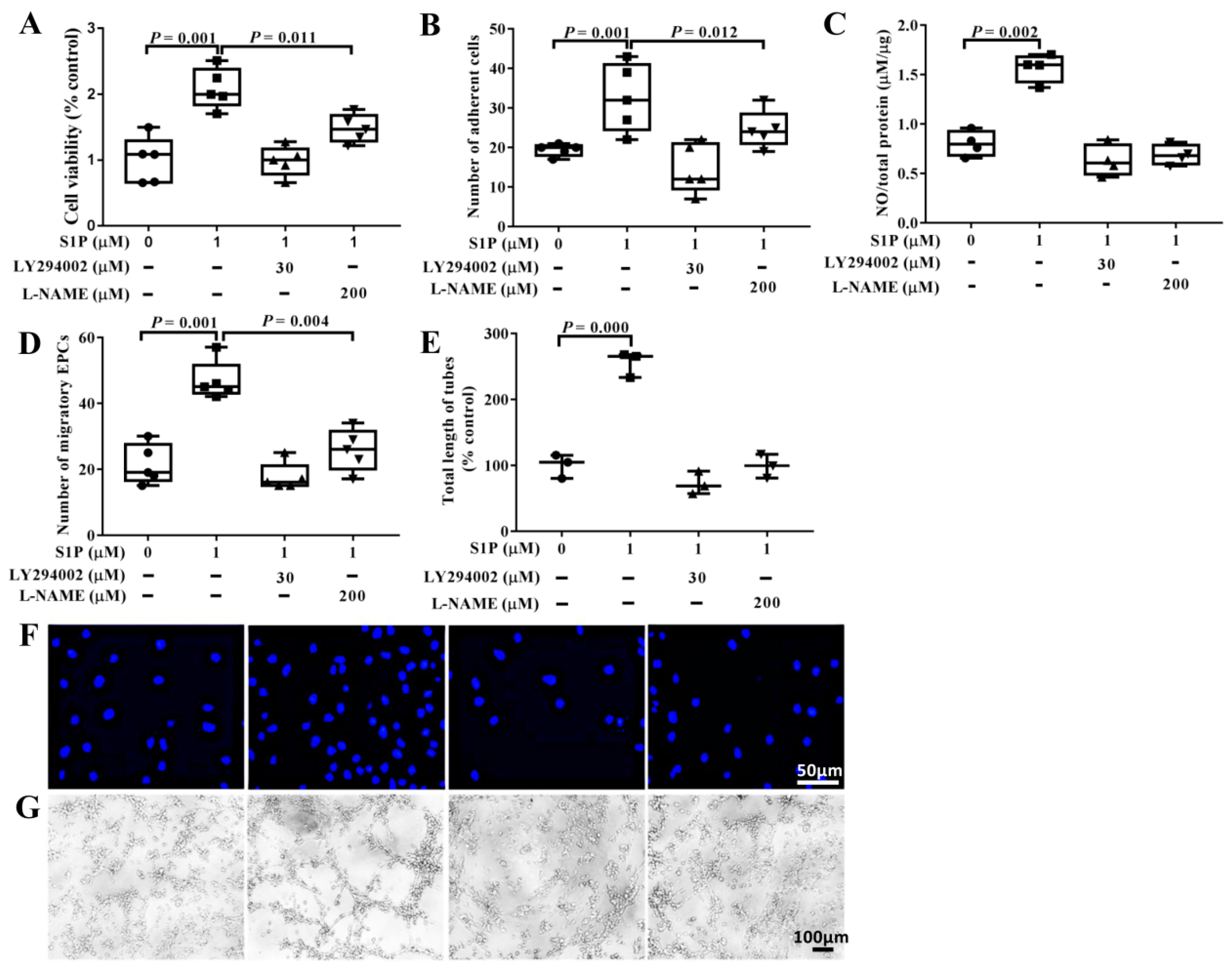 Molecules 24 02404 g003 Molecules 24 02404 g003