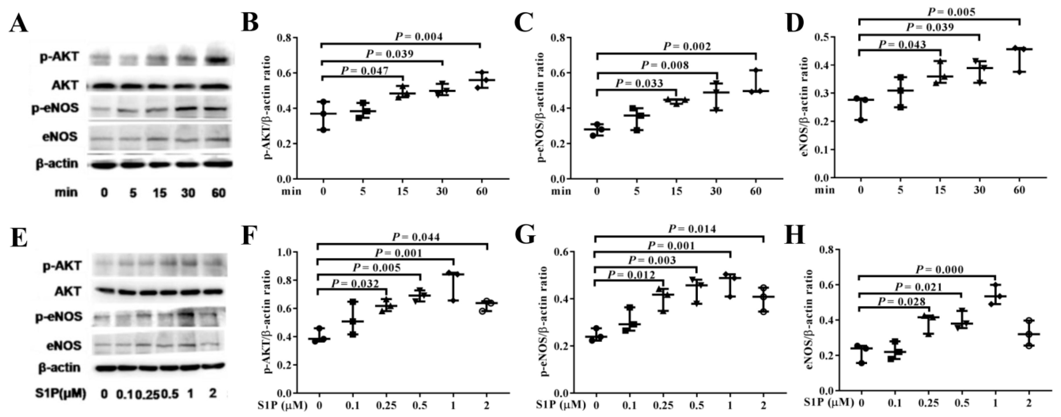 Molecules 24 02404 g004 Molecules 24 02404 g004