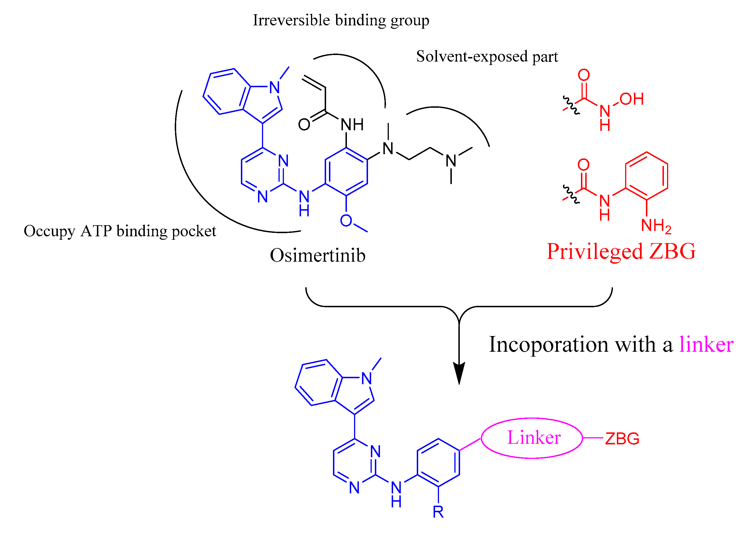 Molecules 24 02407 g003